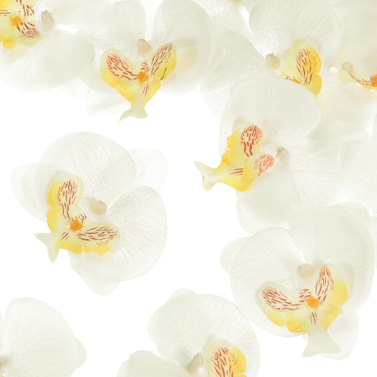 M METERXITY 20-Pack Artificial Orchid Flower Heads, Silk Faux Butterfly Flowers Head for Wedding/Bouquet/Bridal/Party Decor, Fake Phalaenopsis Petals Bulk [2.76 Inch, Dark Purple] BST220