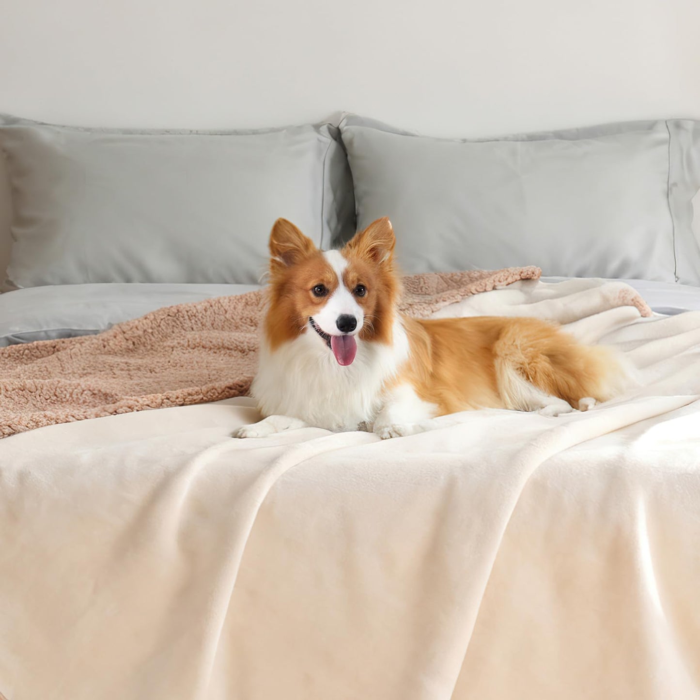 Makigued Waterproof Dog Blanket for Couch & Bed, Reversible Sherpa Fleece Pet Throw with Quiet TPU Barrier, Machine Washable Furniture Protector for Large Dogs & Cats, Twin Size 60x80 Inch, Gray WN420