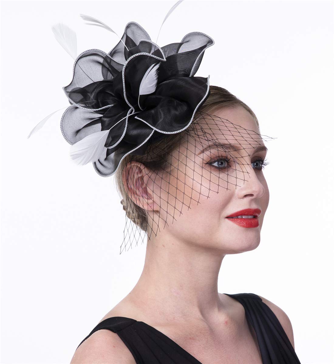 SAFERIN Fascinators Hat Flower Mesh Ribbons Feathers on a Headband and a Clip Tea Party Headwear for Girls and Women WN420