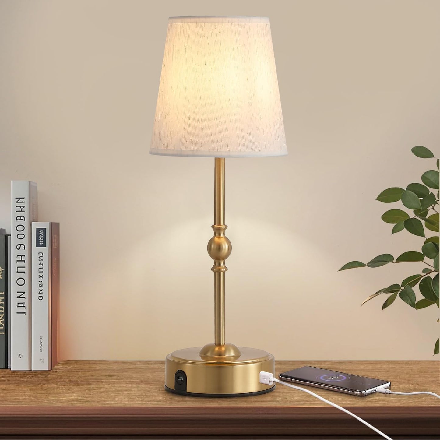 MEIXISUE Cordless Rechargeable LED Table Lamp with Dimmer 87