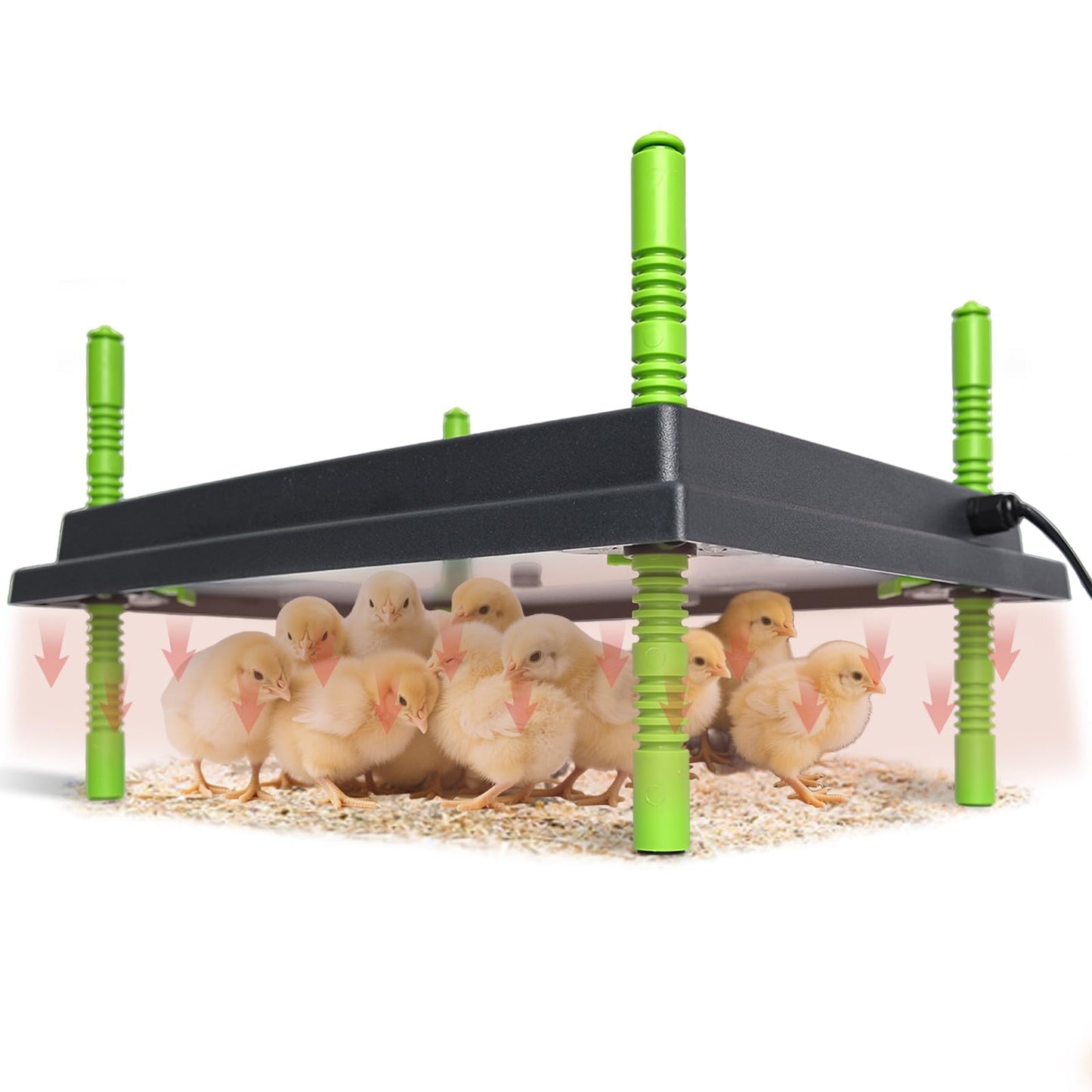 Chick Brooder Heater Plate, 12"x16" Warmer Brooder Plate for Chicks with Adjustable Height & Temperature Display RD12
