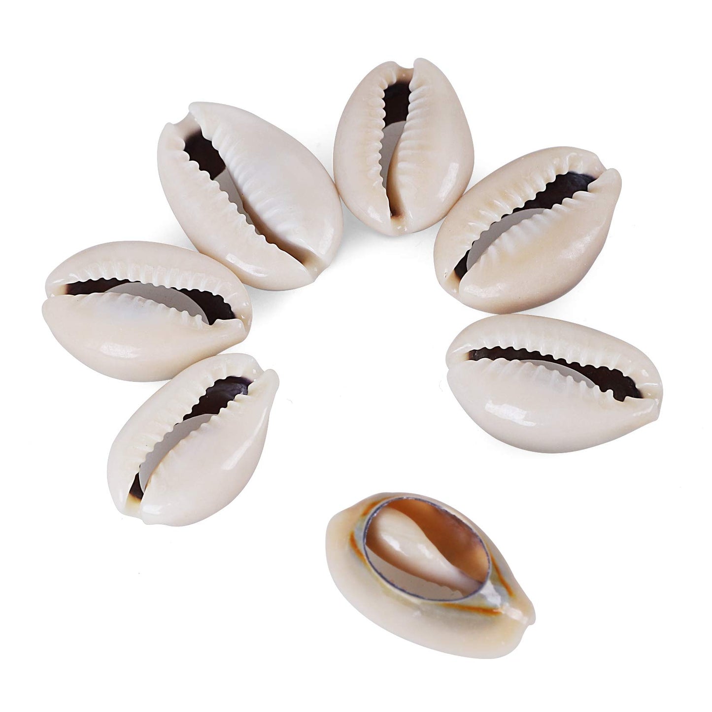 250 PCS Grey 0.71"-0.79"（18-20mm） Natural Strong Cowrie Shell Beads Smooth Cut Oval Seashells, Beach Seashells with Big Hole for DIY Craft Jewelry Making, Adorning Hair Locks and Braids BST220