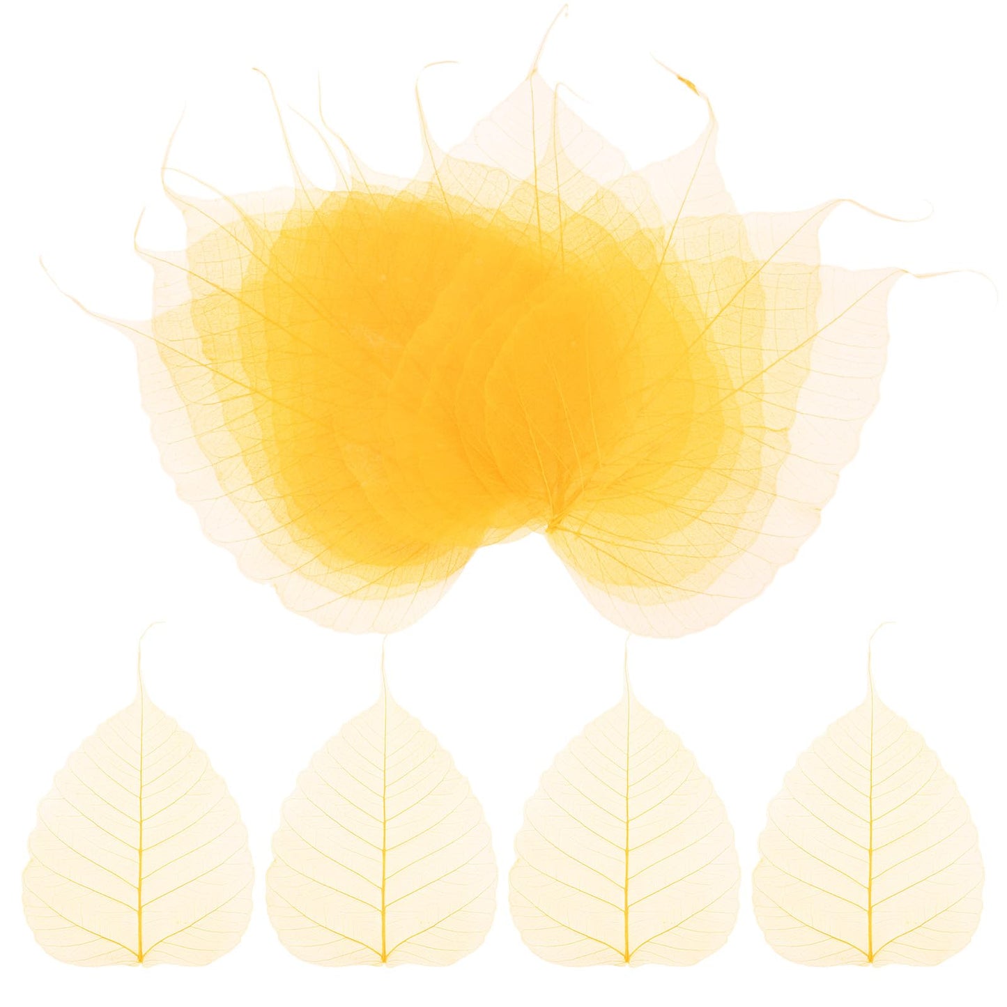 M METERXITY 100-Pack Skeleton Leaves, 5.1 Inch Natural Dried Pressed Bodhi Skeleton Leaves Vein for Resin/DIY Crafts Card/Scrapbook/Wedding, Small Leaves Decorative [Coffee] BST220