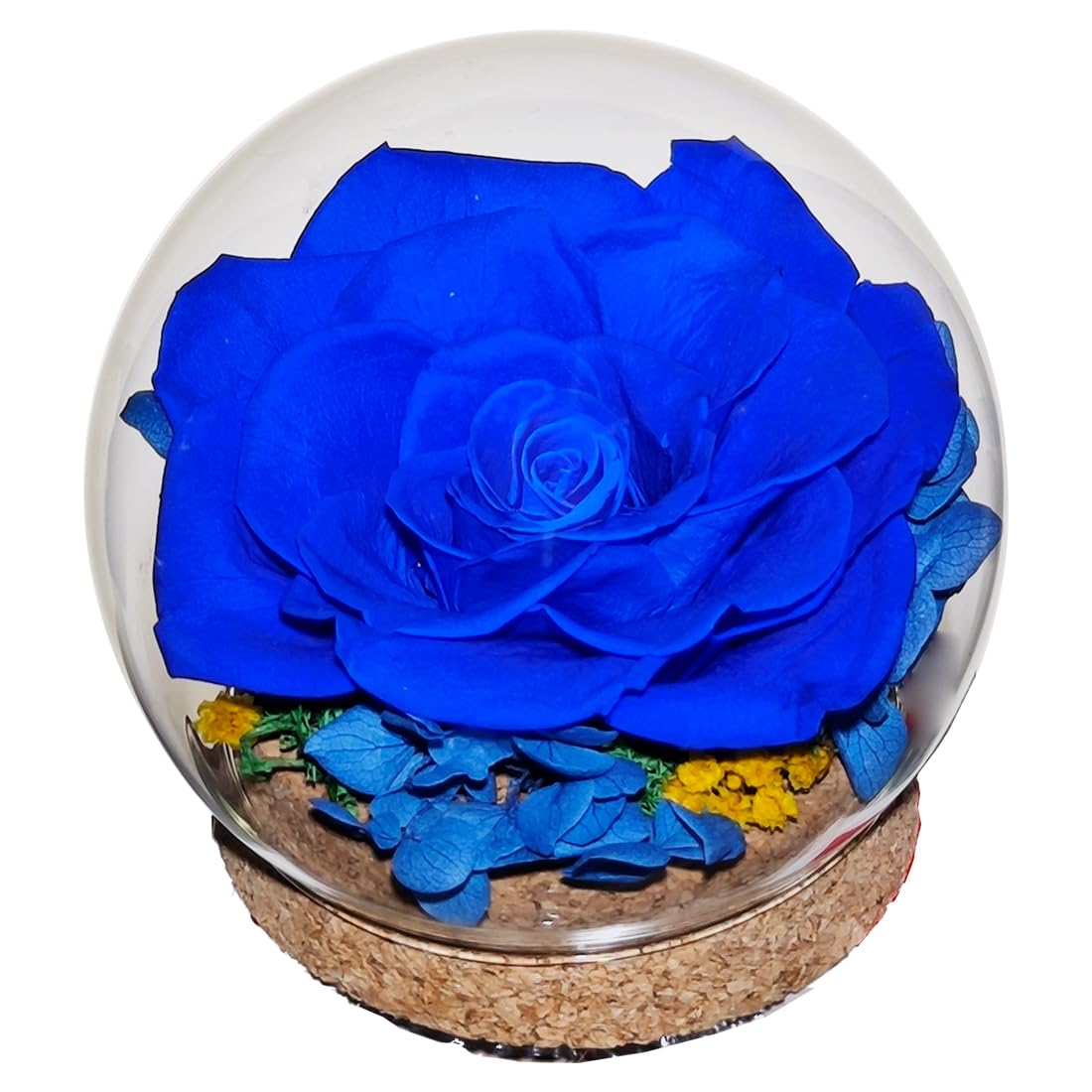 Preserved Real Rose in a Circular Glass Cover, Wooden Base, a Gift for Valentine's, Mother's Day Christmas, Anniversary, Girlfriend Birthday（Blue） 1 pcs 10 cm BST220