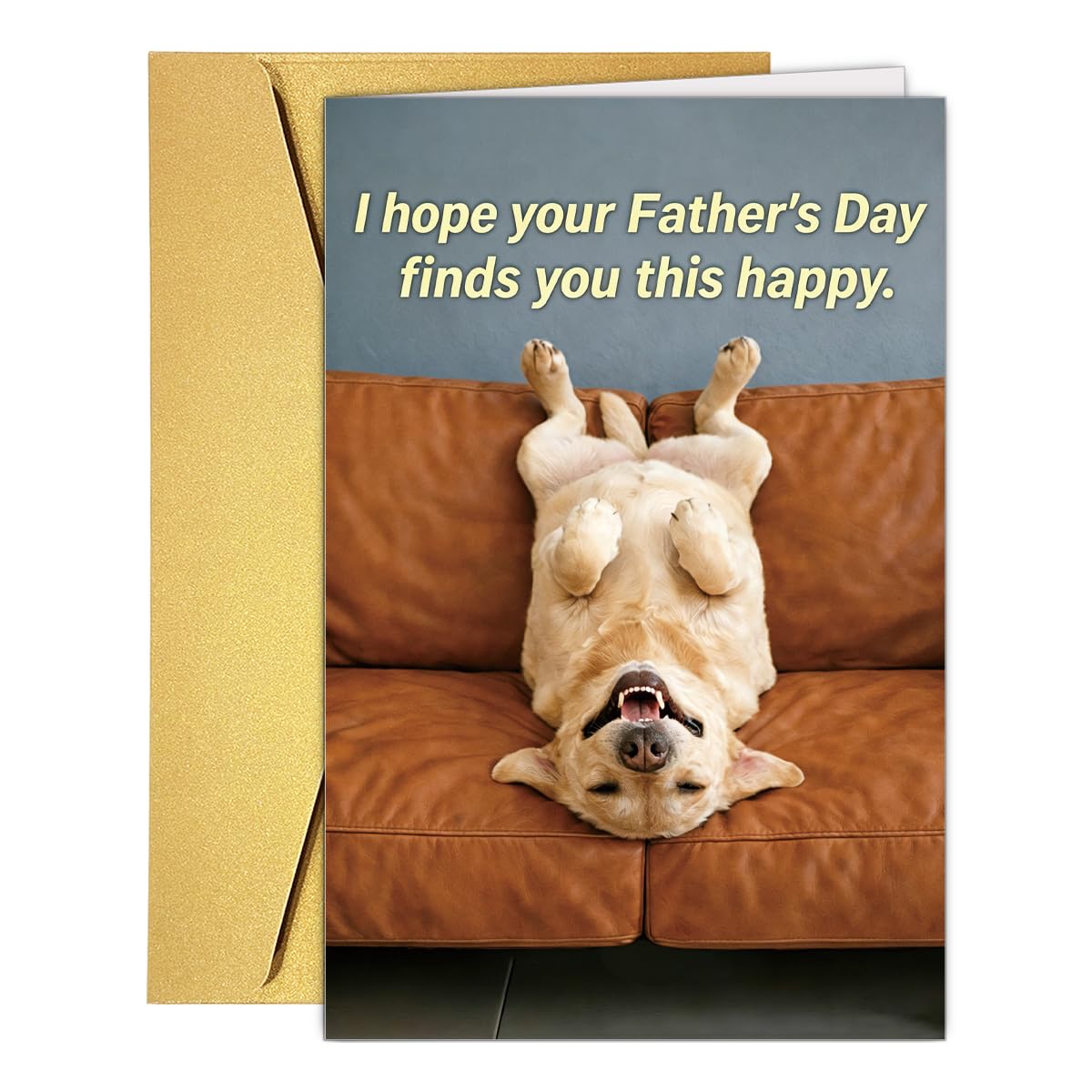 Funny Fathers Day Card for Dad Daddy Bonus Dad, Cute Cards for Fathers Day, Father's Day Cards from Son Daughter, Father's Day Cards Gift For Men Him BST202