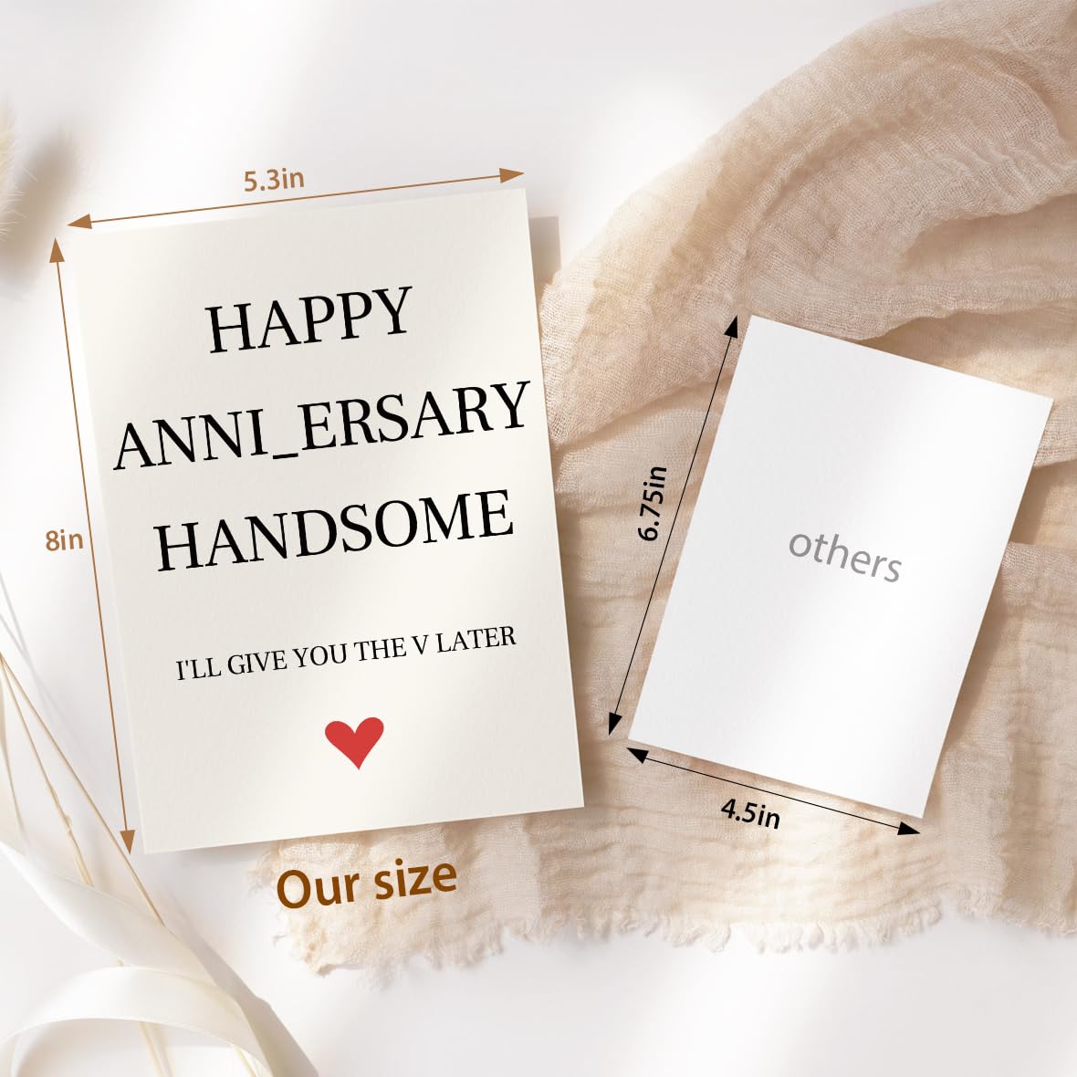 fancu Funny Birthday Card for Boyfriend, Cheeky Card for Husband | 5 x 7 inch cheeky birthday card with matte finish, printed message, red envelope, and sticker for boyfriend or husband BST202