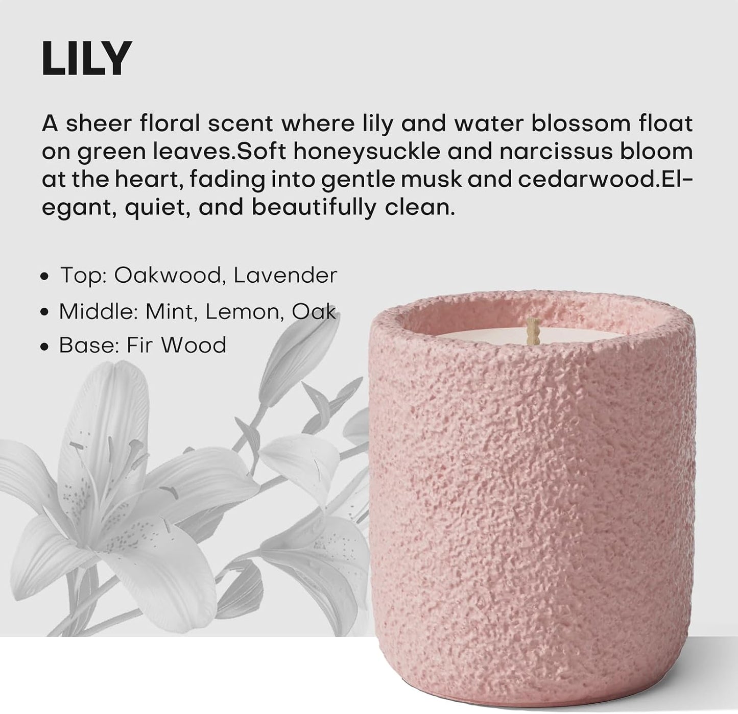 Scented Candles for Home, Natural Soy Wax Candle Gift, Non-Toxic Cement Jar Candles, Luxury Aromatherapy for Stress Relief, Gifts for Women and Men, Highly Scented, Lily Veil BST202