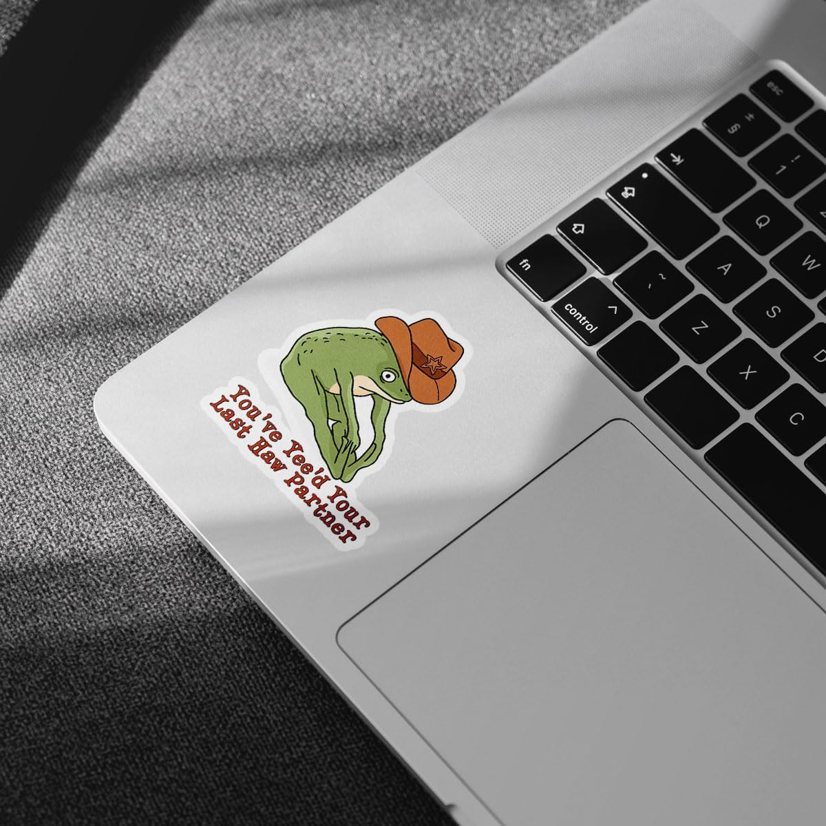3Pcs You've Yee'd Your Last Haw Partner Sticker Funny Cowboy Frog Meme Wild West Decals You Just Yee'd Your Last Haw Stickers Yee Yee Sticker Decal for Laptop Bottle Phone Car Hard Hat 3"x3" WN420