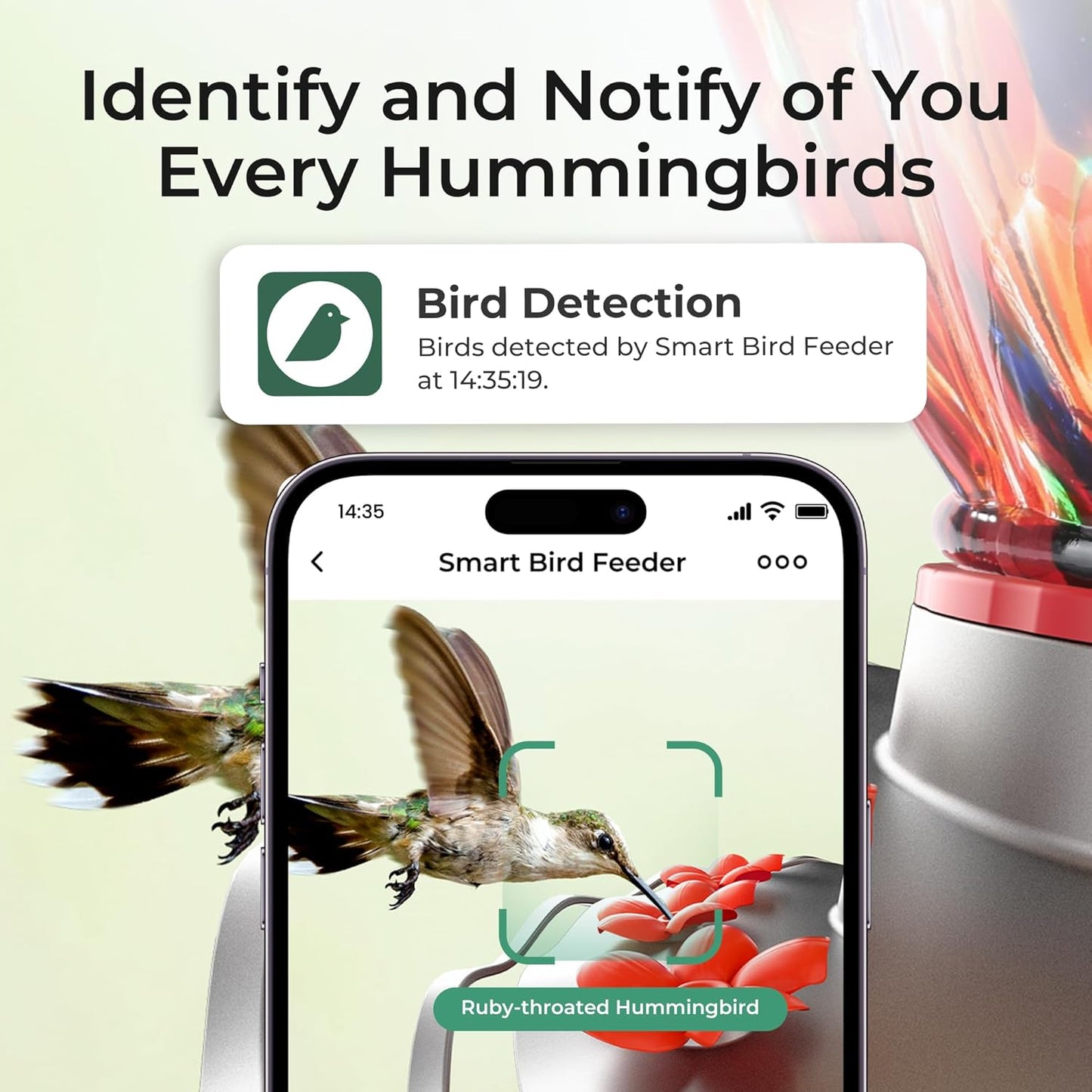 TT Nature Smart Glass Hummingbird Feeder with Camera Solar Powered 2K- AI Identify & Water Detection 81