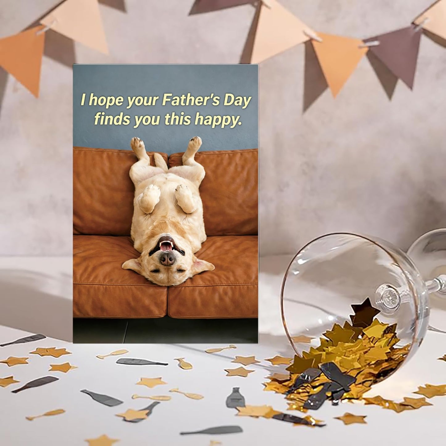 Funny Fathers Day Card for Dad Daddy Bonus Dad, Cute Cards for Fathers Day, Father's Day Cards from Son Daughter, Father's Day Cards Gift For Men Him BST202
