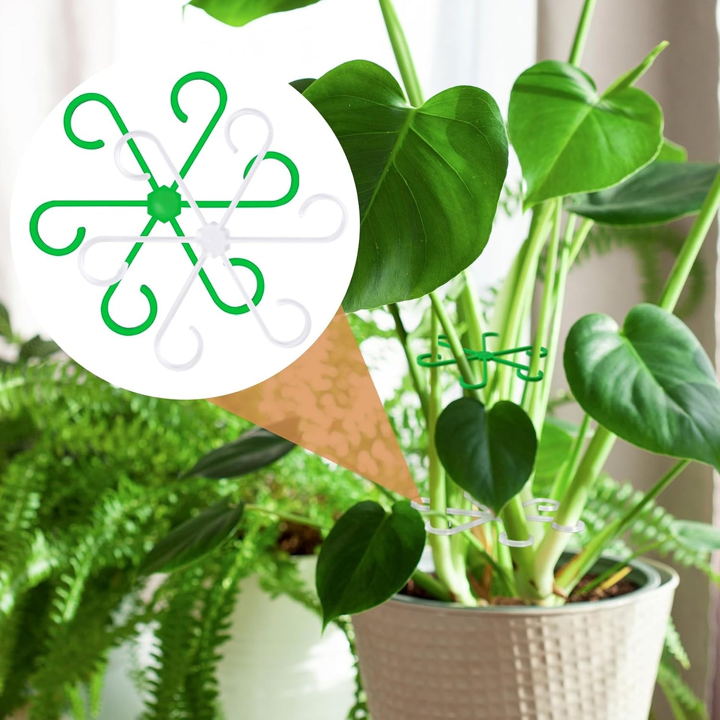 8PCS Plant Stem Support, 4 Sizes Climbing Houseplant Stem Holders, Plastic Reusable Flower Trellis Stem Hook Plant Care Growth Accessories for Flower Plants Indoor Outdoor- Green, Clear WN420