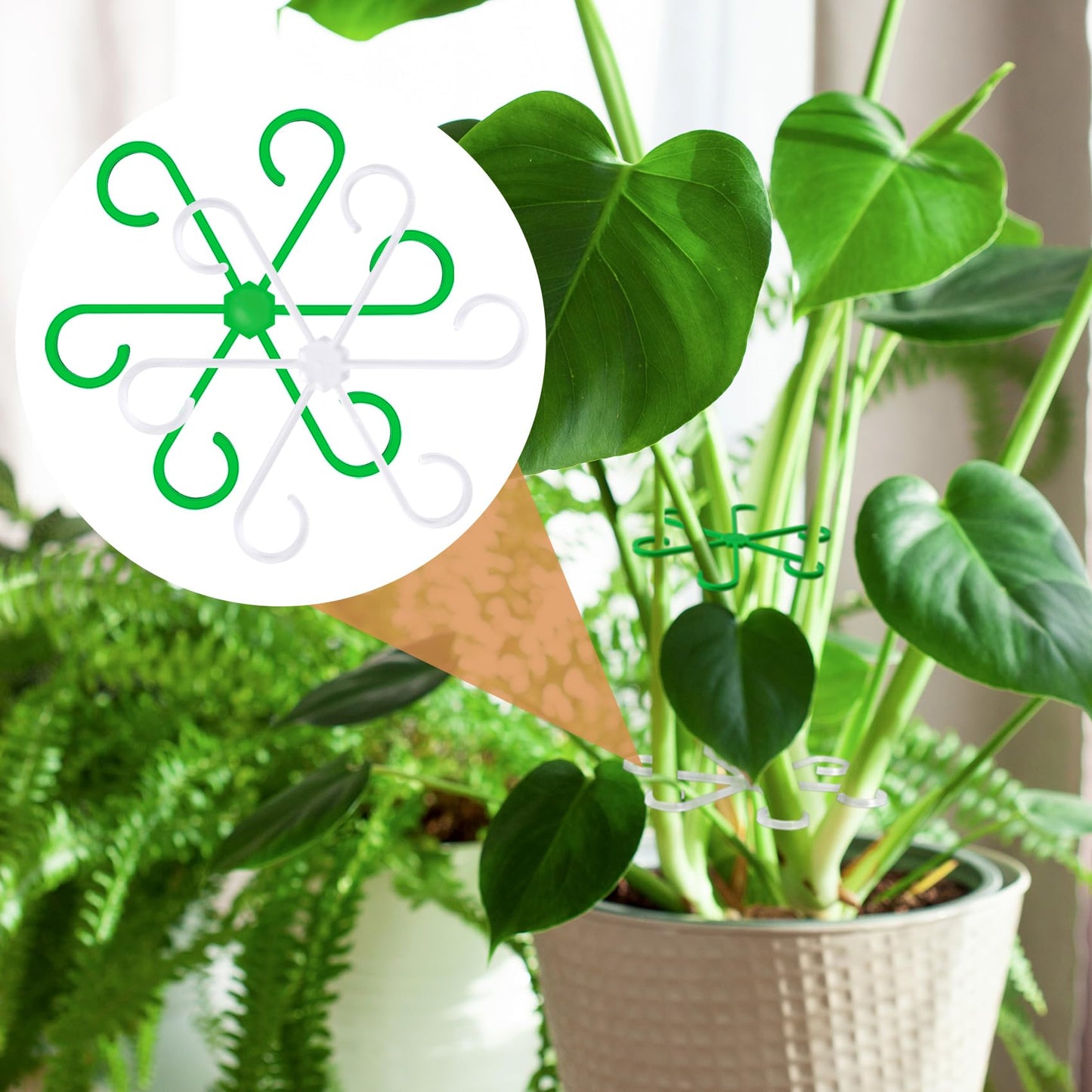 8PCS Plant Stem Support, 4 Sizes Climbing Houseplant Stem Holders, Plastic Reusable Flower Trellis Stem Hook Plant Care Growth Accessories for Flower Plants Indoor Outdoor- Green, Clear WN420