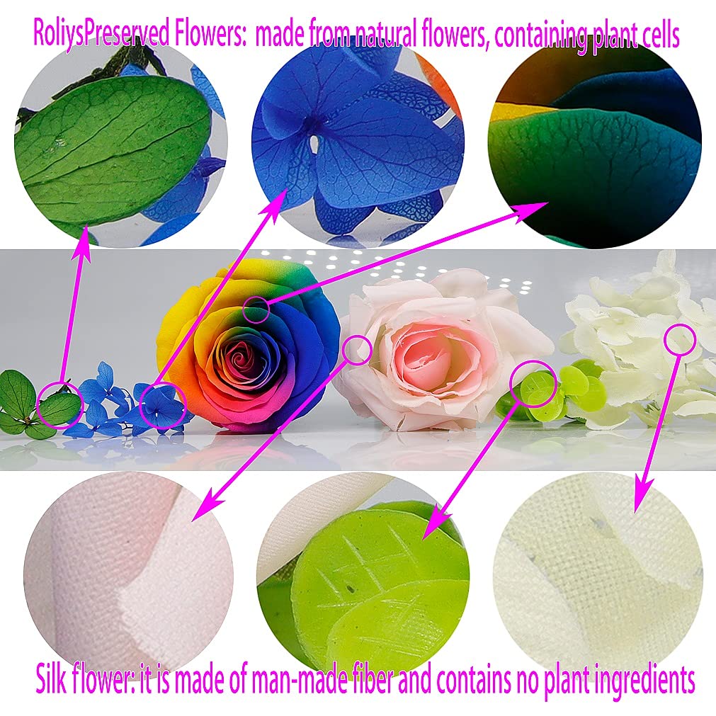 Preserved Real Rose in a Circular Glass Cover, Wooden Base, a Gift for Valentine's, Mother's Day Christmas, Anniversary, Girlfriend Birthday（Blue） 1 pcs 10 cm BST220