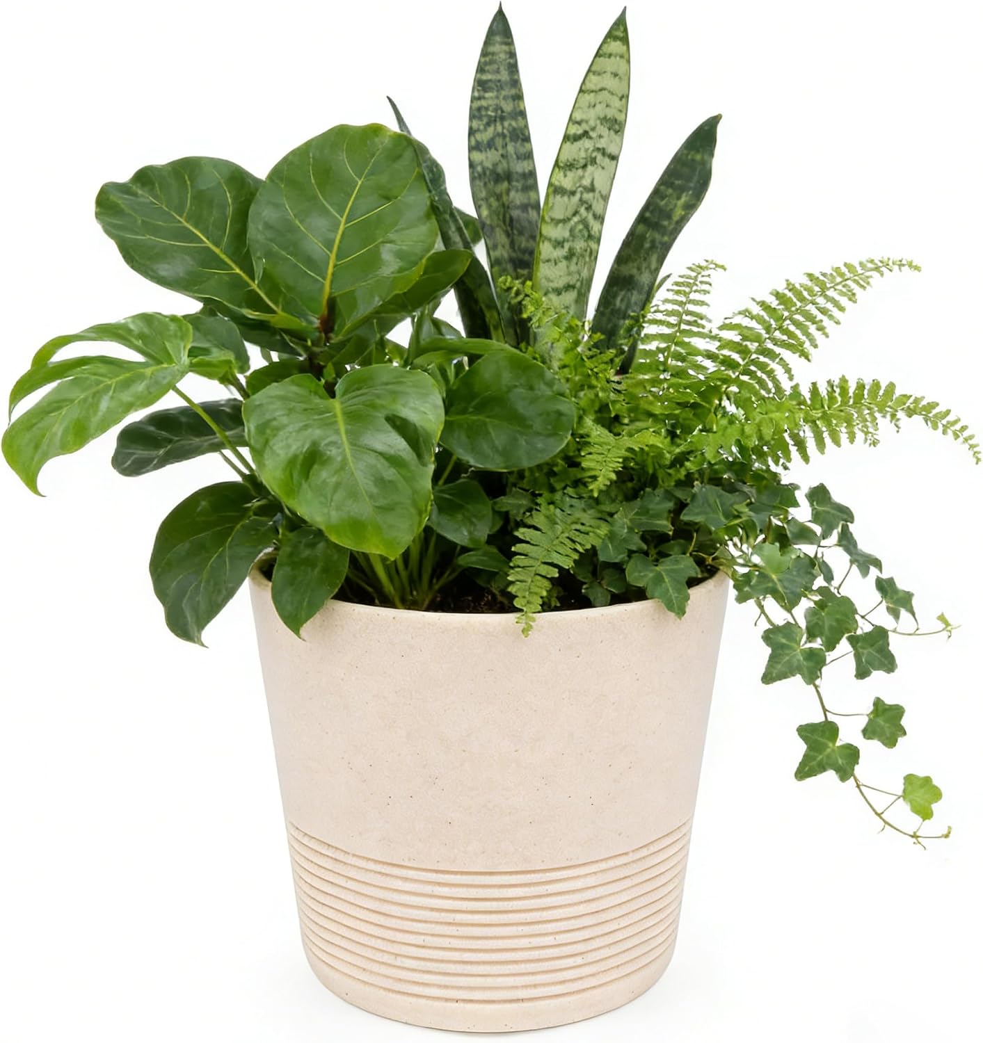 Ekirlin 7 Inch Indoor Plant Pot, Natural Resin Gravel Textures Planters, Modern Heavy Planter with Drainage Hole, Removable Rubber Stopper and Non-Slip Soft Pad, Decorative Pot for Home/Outdoor/Garden WN420