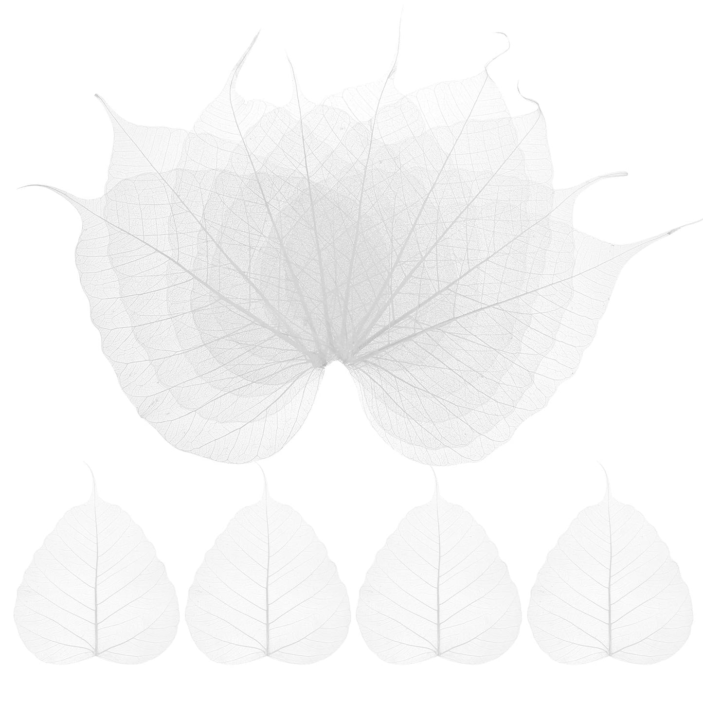 M METERXITY 100-Pack Skeleton Leaves, 5.1 Inch Natural Dried Pressed Bodhi Skeleton Leaves Vein for Resin/DIY Crafts Card/Scrapbook/Wedding, Small Leaves Decorative [Coffee] BST220