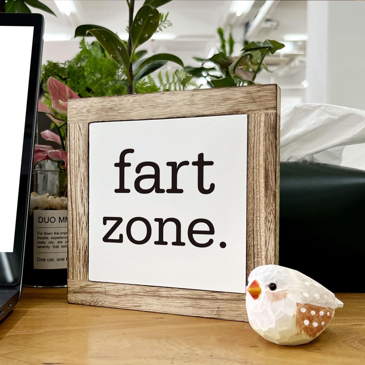 Bathroom Decor, Funny Bathroom Decor, Flush the Toilet This is Not Show and Tell, Wooden Box Signs for Home Decor, Bathroom Decor Tabletop, Kids Bathroom Rules Sign Decor, Bathroom Box Sign B6-71 BST202