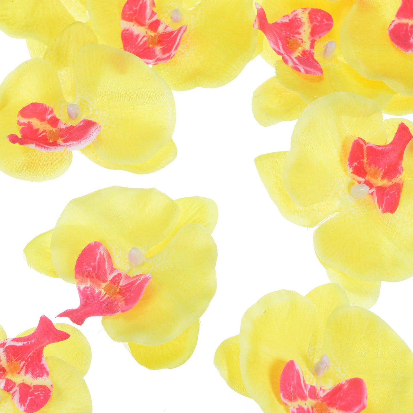 M METERXITY 20-Pack Artificial Orchid Flower Heads, Silk Faux Butterfly Flowers Head for Wedding/Bouquet/Bridal/Party Decor, Fake Phalaenopsis Petals Bulk [2.76 Inch, Dark Purple] BST220