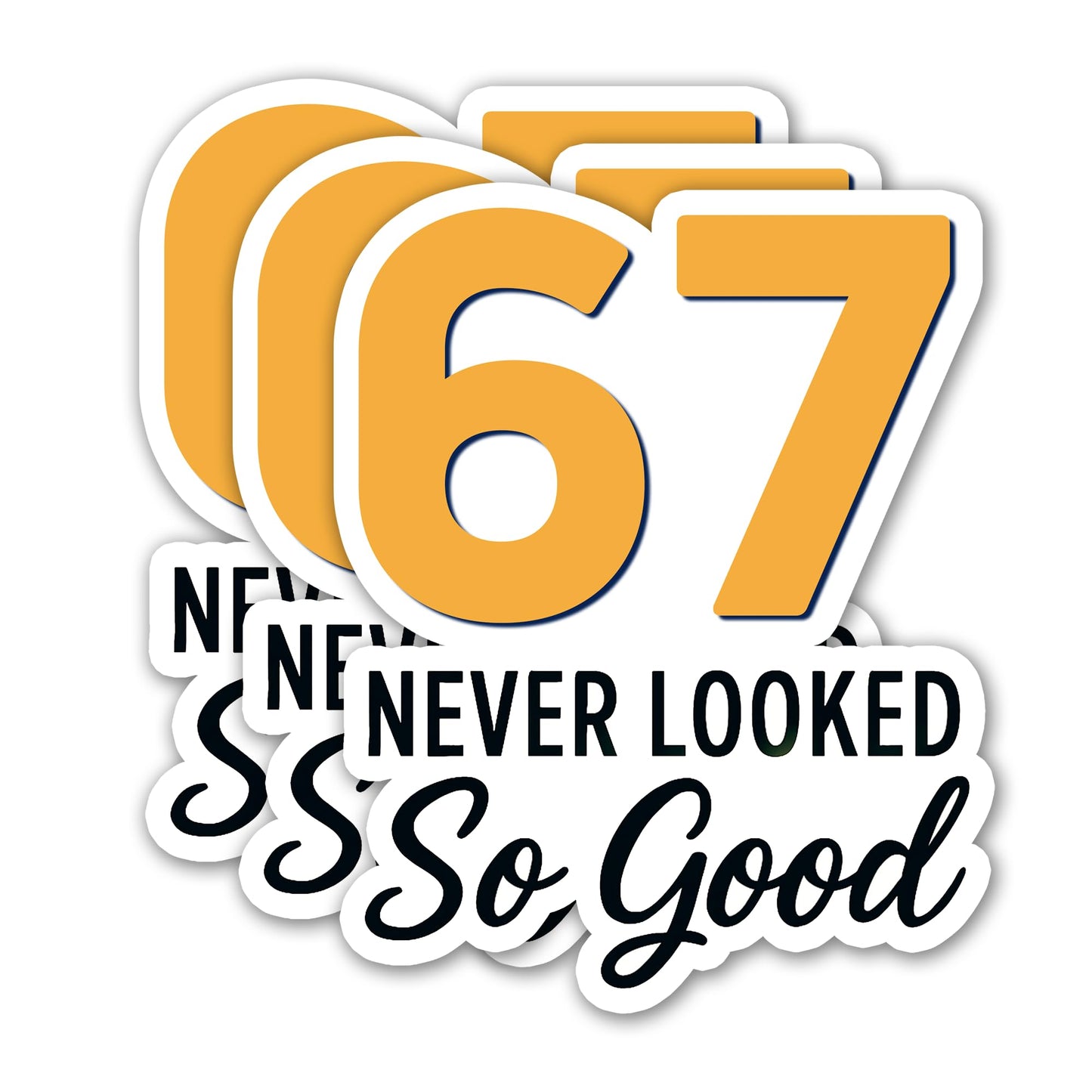 (3PCS) 83 Never Looked So Good Sticker – Happy 83th Birthday, Waterproof Vinyl Decals for Party Decor, Scrapbooking, Water Bottles, Laptops, Size 3" x 2.5" BST202