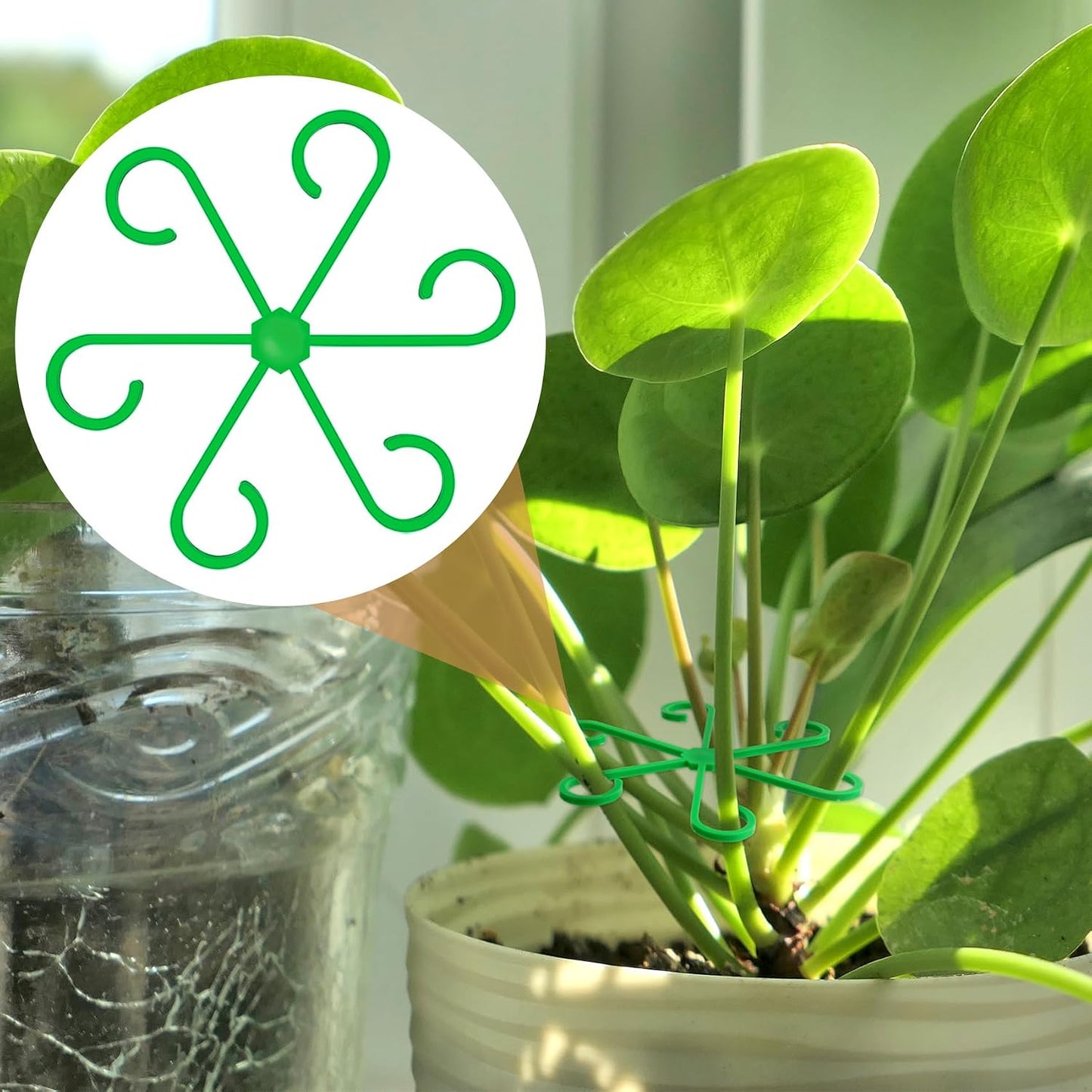 8PCS Plant Stem Support, 4 Sizes Climbing Houseplant Stem Holders, Plastic Reusable Flower Trellis Stem Hook Plant Care Growth Accessories for Flower Plants Indoor Outdoor- Green, Clear WN420
