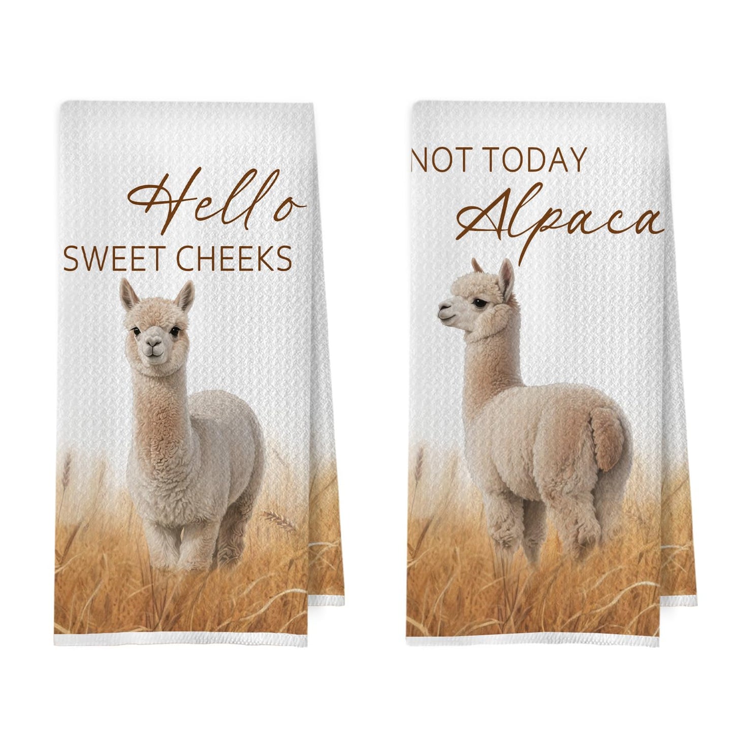 Raccoon Gifts Bathroom Towels Set - Raccoon Gifts Decorative Hand Towels, Hello Sweet Cheeks Bathroom Decor, 16x24 Inches Set of 2 BST220