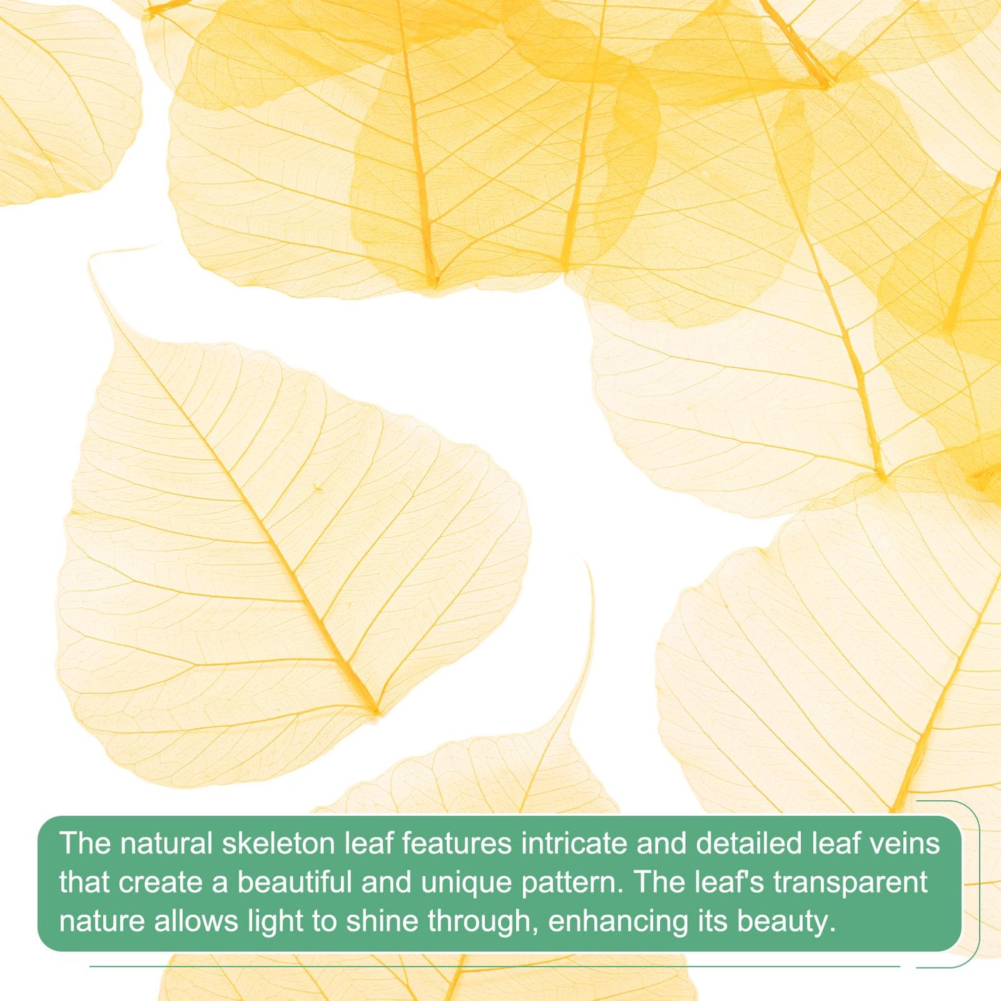 M METERXITY 100-Pack Skeleton Leaves, 5.1 Inch Natural Dried Pressed Bodhi Skeleton Leaves Vein for Resin/DIY Crafts Card/Scrapbook/Wedding, Small Leaves Decorative [Coffee] BST220