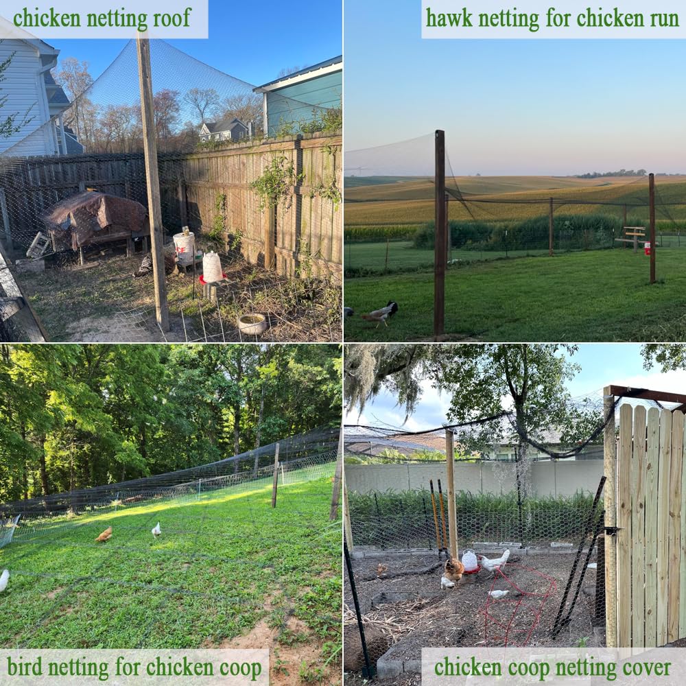 Bird Netting for Chicken Coop 50x50 Ft, 1" Mesh N31