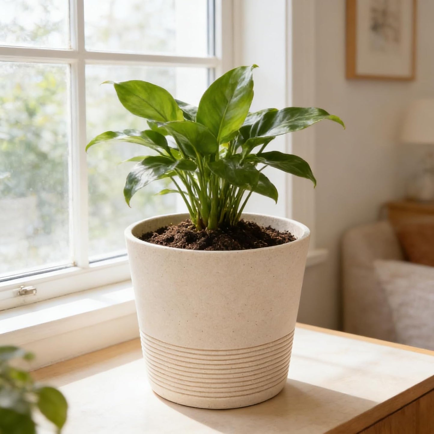 Ekirlin 7 Inch Indoor Plant Pot, Natural Resin Gravel Textures Planters, Modern Heavy Planter with Drainage Hole, Removable Rubber Stopper and Non-Slip Soft Pad, Decorative Pot for Home/Outdoor/Garden WN420