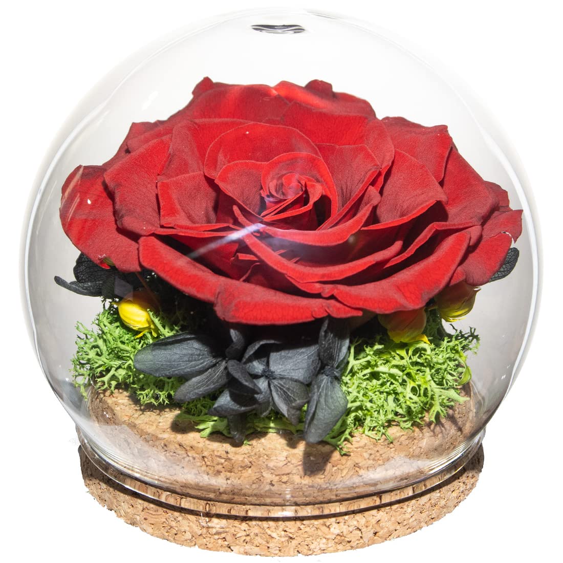 Preserved Real Rose in a Circular Glass Cover, Wooden Base, a Gift for Valentine's, Mother's Day Christmas, Anniversary, Girlfriend Birthday（Blue） 1 pcs 10 cm BST220