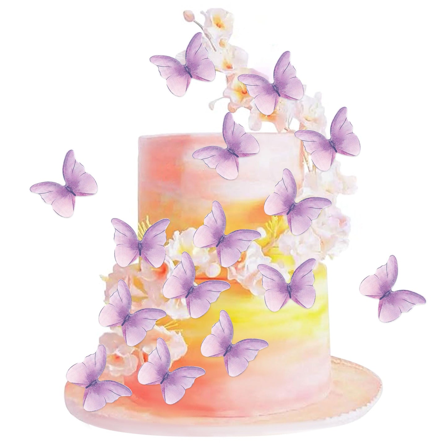 Edible Butterflies for Cake Decorating, Rainbow edible Butterfly Cake Toppers and Cupcake Toppers, Edible Wafer Paper Butterflies Set of 48 Rainbow Cake Food Decorations (5Colors-1) BST326L