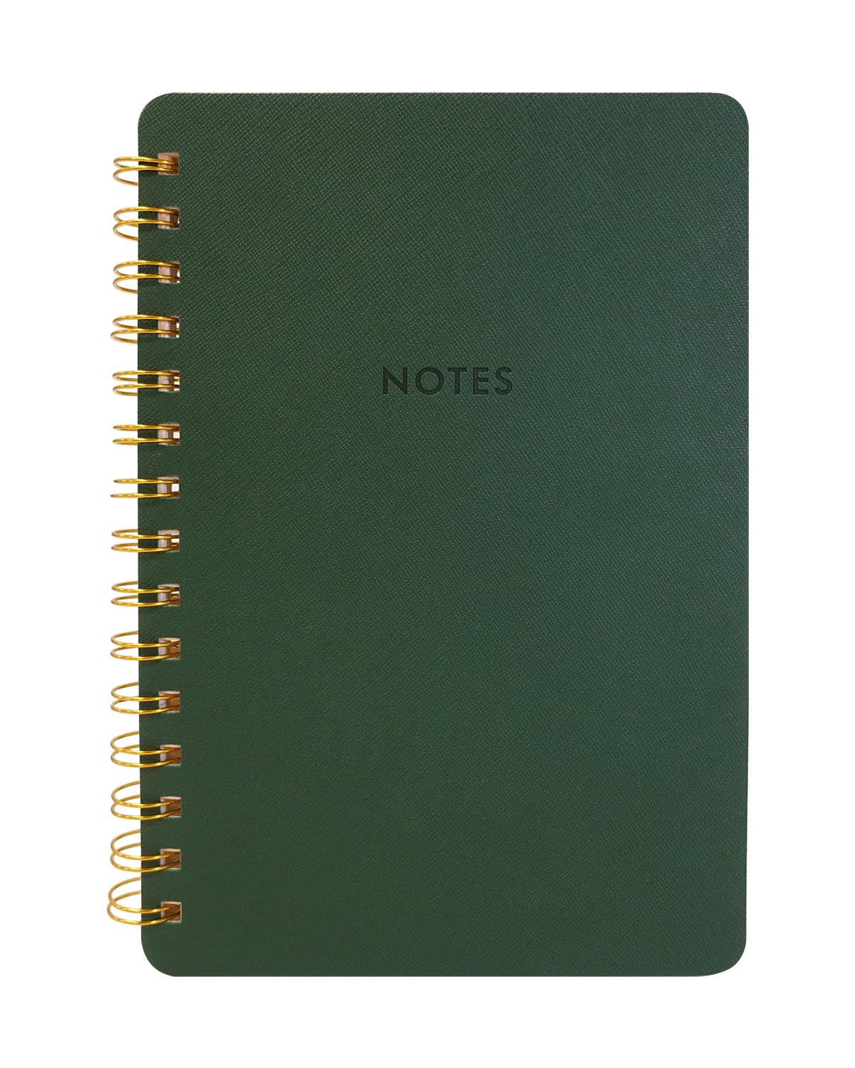CAIYI STUDIO A5 Lined Spiral Journal Notebook, 160 Pages 100 GSM Thick Paper, 5.7 x 8.2 inches College Ruled Notebook, Double-Wire/Faux Leather Cover/Inner Pocket (Jasper) WN420