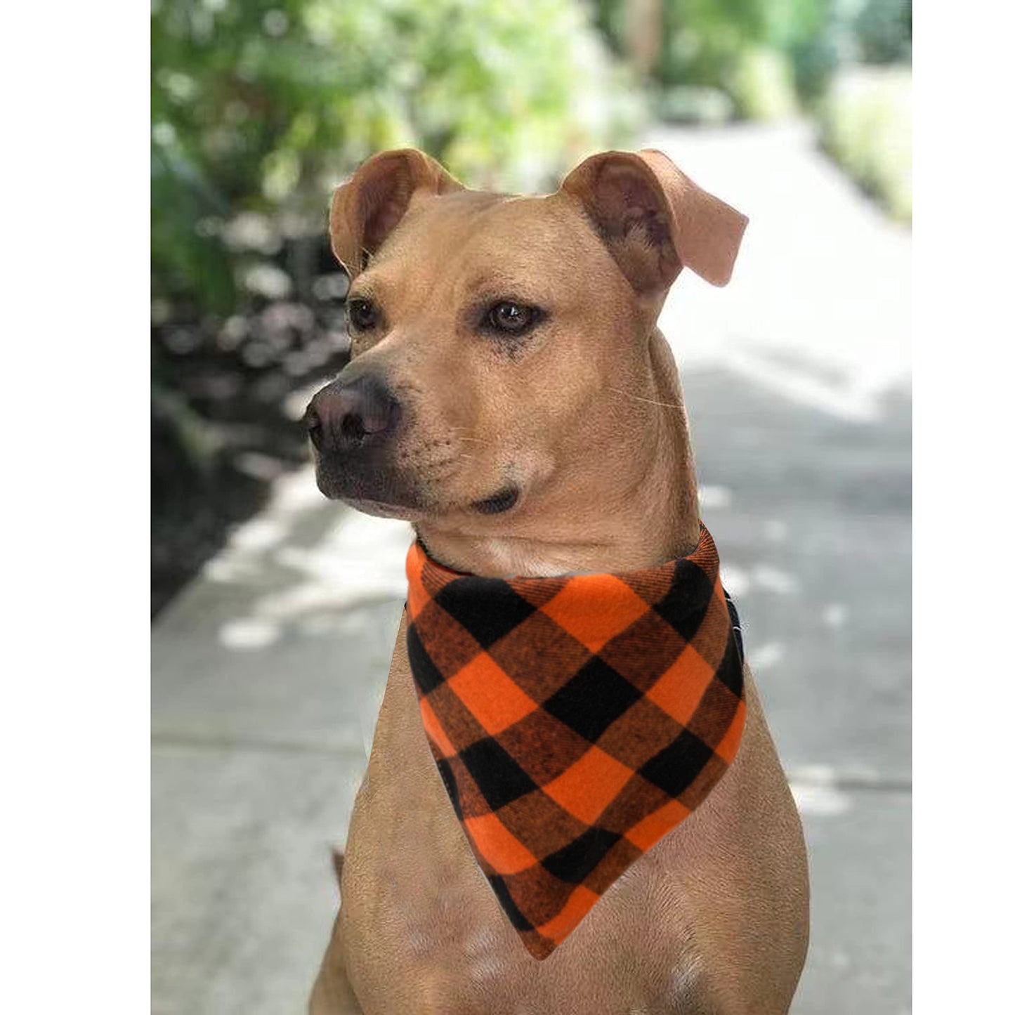 Realeaf Fall Thanksgiving Dog Bandanas 2 Pack, Orange Plaid Pet Scarf for Boy and Girl, Premium Durable Fabric, Holiday Halloween Bandana for Large and Extra Large Dogs (X-Large) WN420
