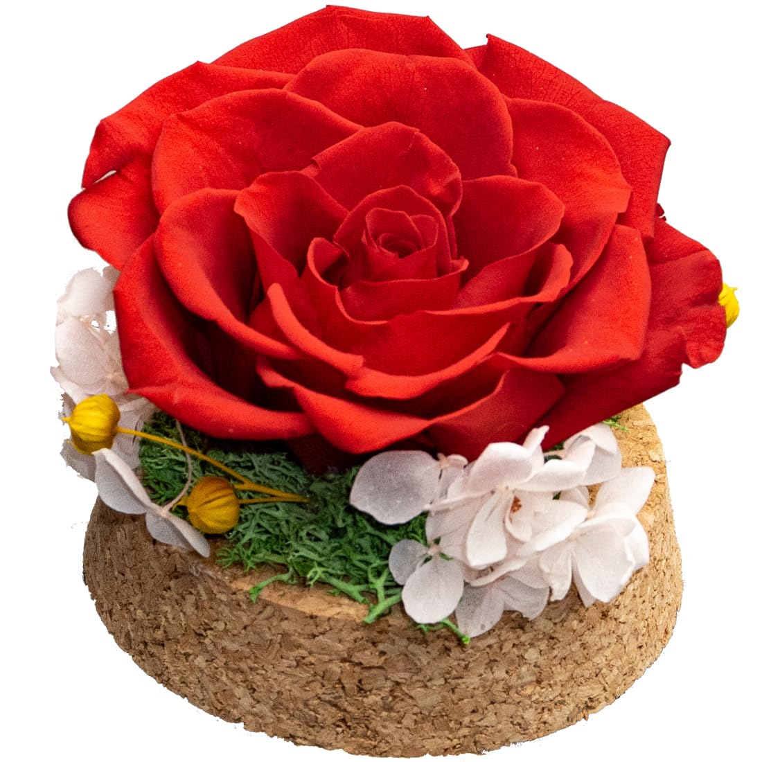 Preserved Real Rose in a Circular Glass Cover, Wooden Base, a Gift for Valentine's, Mother's Day Christmas, Anniversary, Girlfriend Birthday（Blue） 1 pcs 10 cm BST220