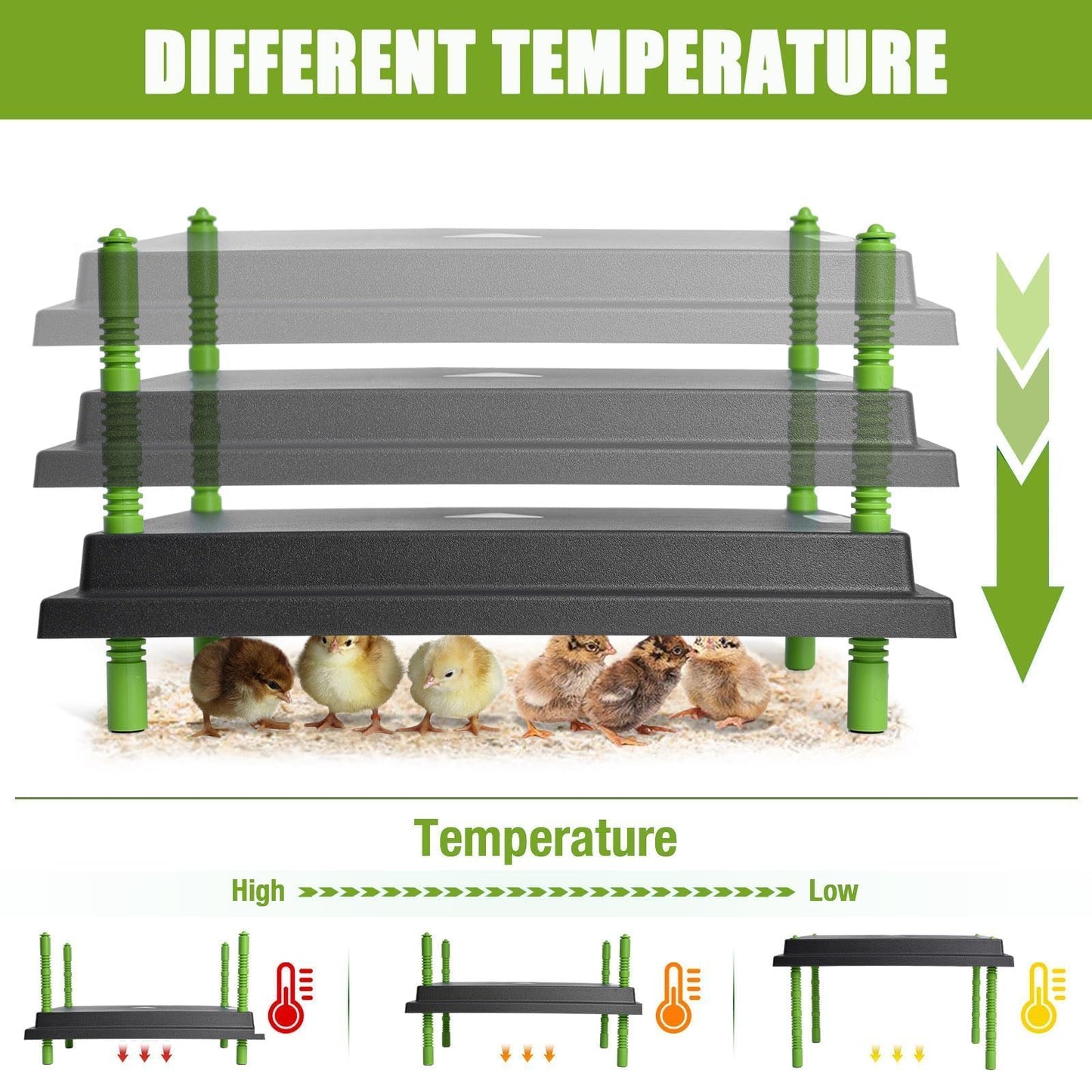 Chick Brooder Heater Plate, 12"x16" Warmer Brooder Plate for Chicks with Adjustable Height & Temperature Display RD12
