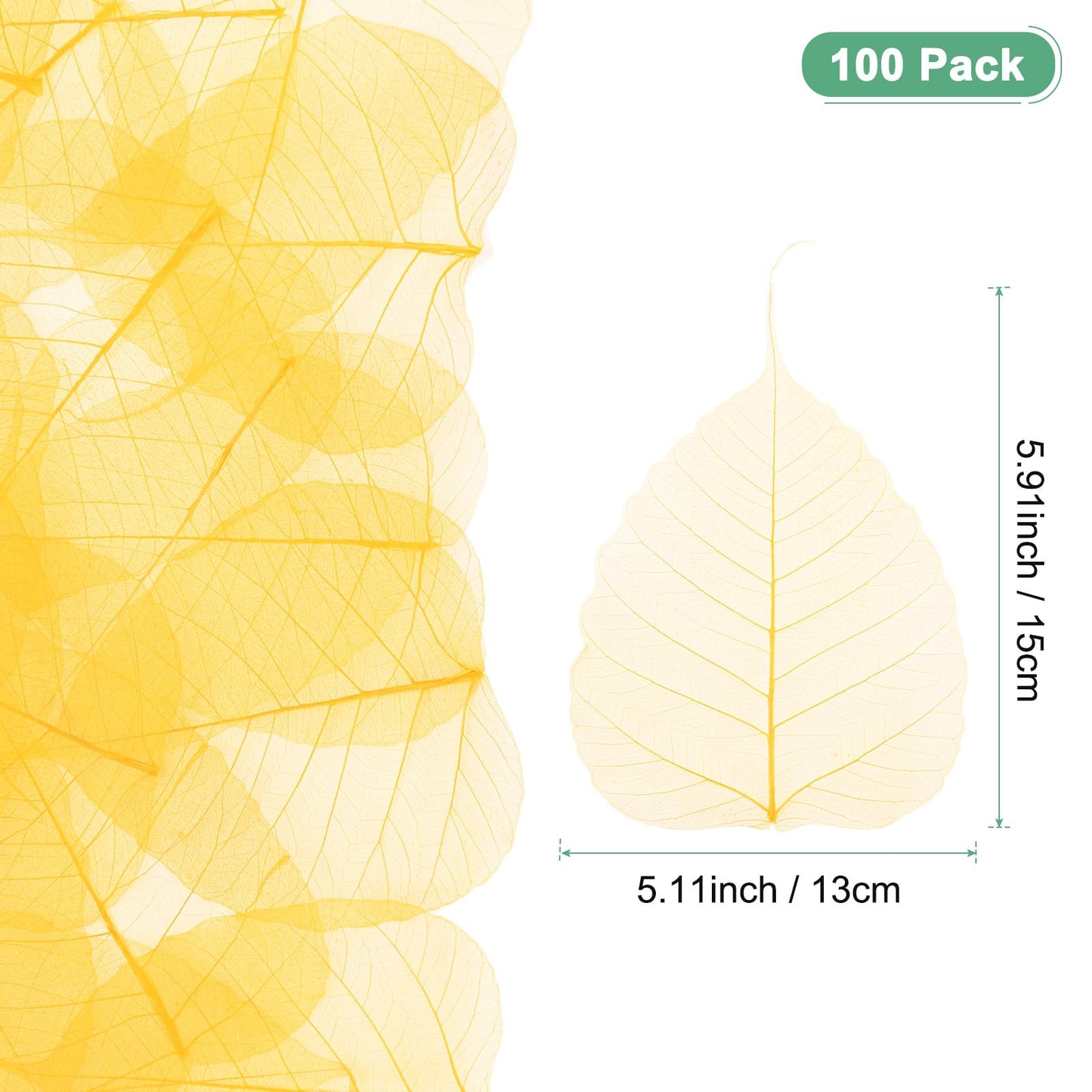 M METERXITY 100-Pack Skeleton Leaves, 5.1 Inch Natural Dried Pressed Bodhi Skeleton Leaves Vein for Resin/DIY Crafts Card/Scrapbook/Wedding, Small Leaves Decorative [Coffee] BST220