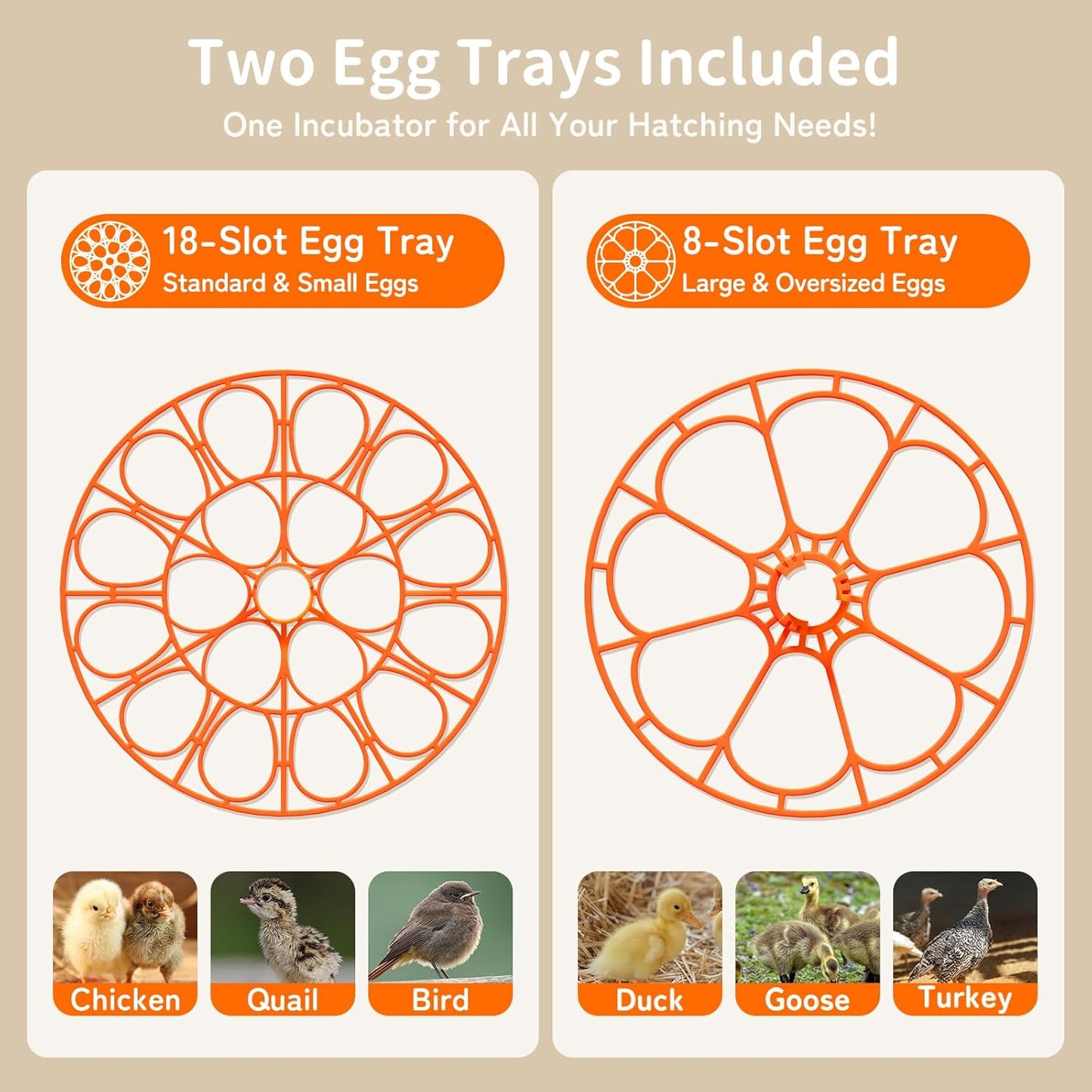 APDOE Egg Incubators for Hatching Eggs 32
