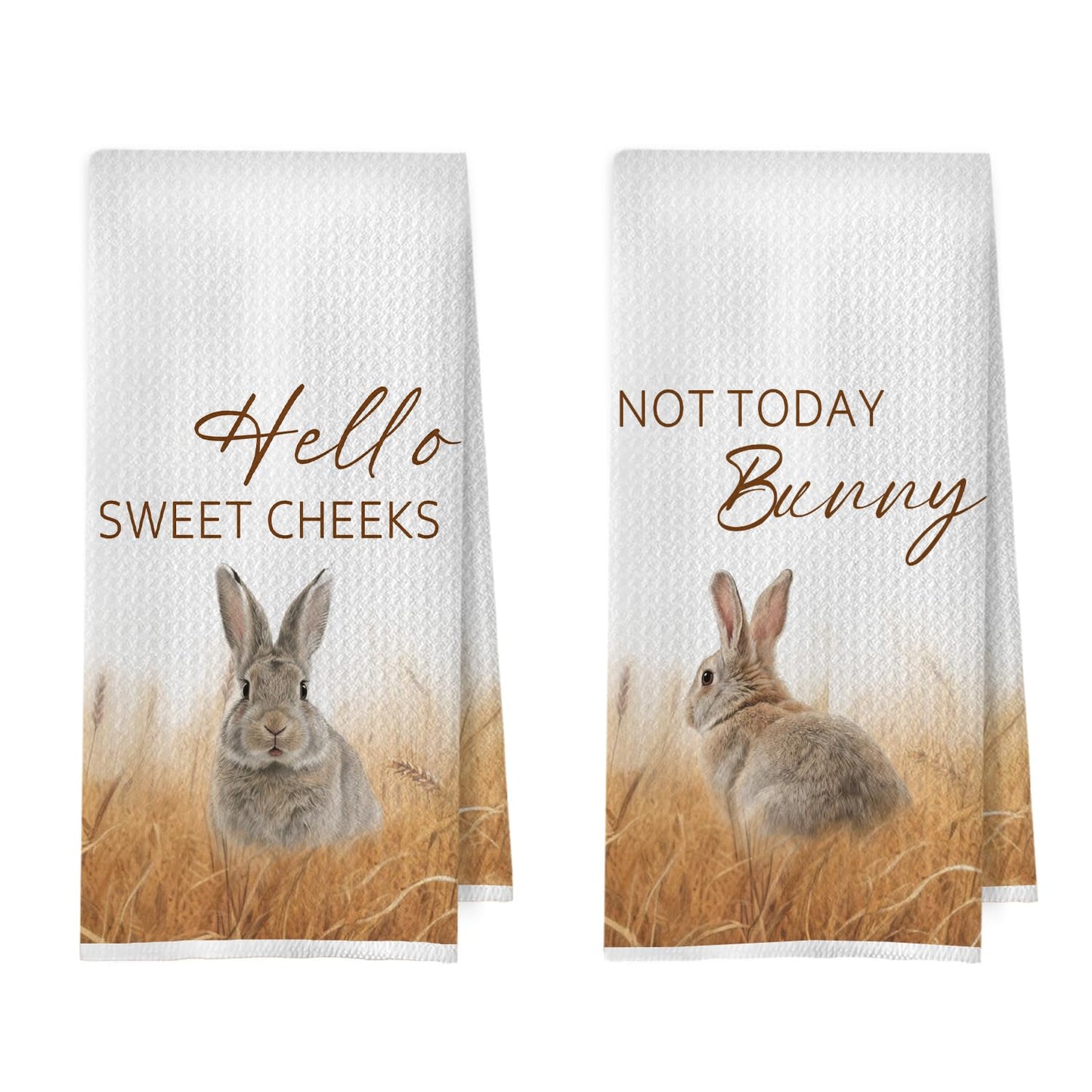 Raccoon Gifts Bathroom Towels Set - Raccoon Gifts Decorative Hand Towels, Hello Sweet Cheeks Bathroom Decor, 16x24 Inches Set of 2 BST220