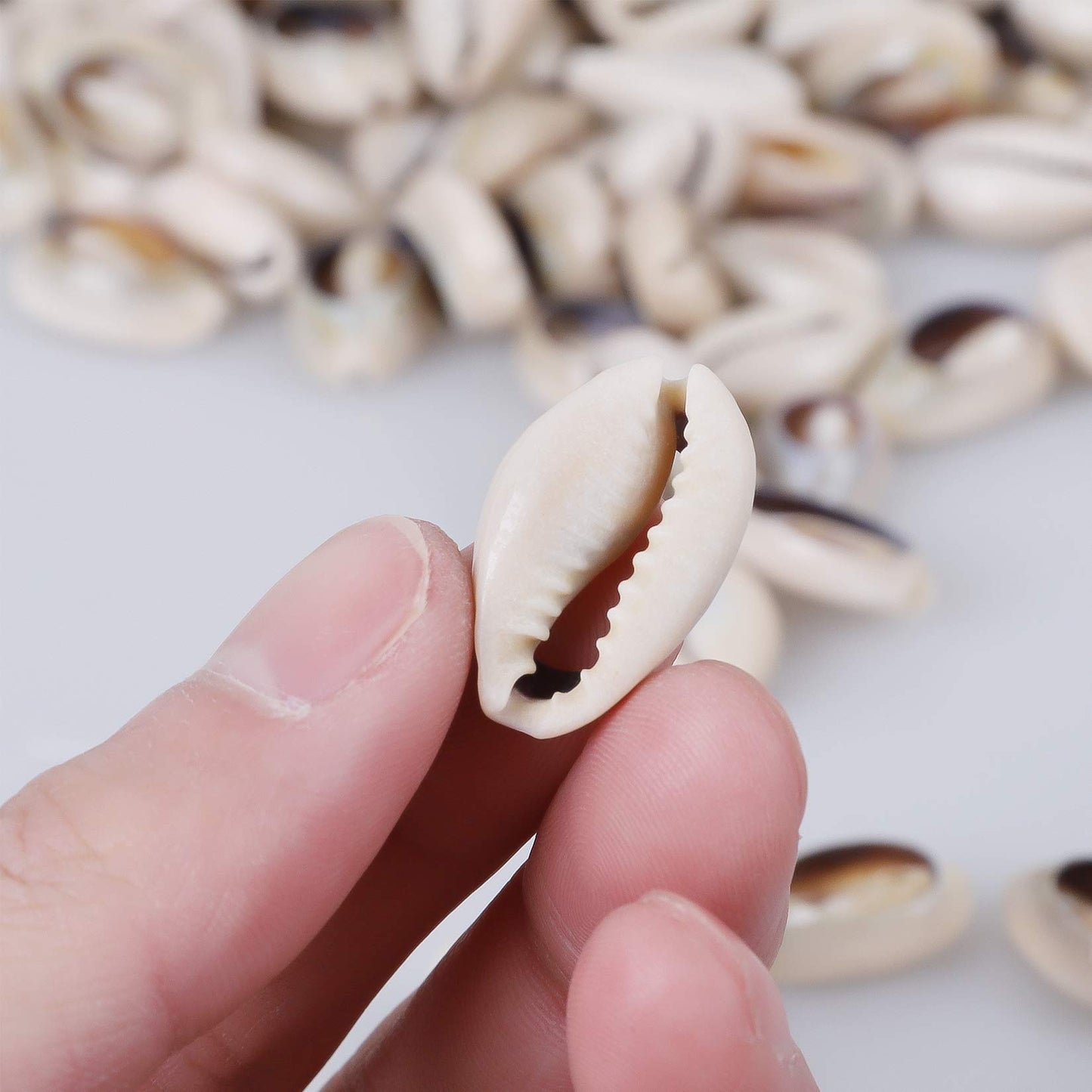 250 PCS Grey 0.71"-0.79"（18-20mm） Natural Strong Cowrie Shell Beads Smooth Cut Oval Seashells, Beach Seashells with Big Hole for DIY Craft Jewelry Making, Adorning Hair Locks and Braids BST220