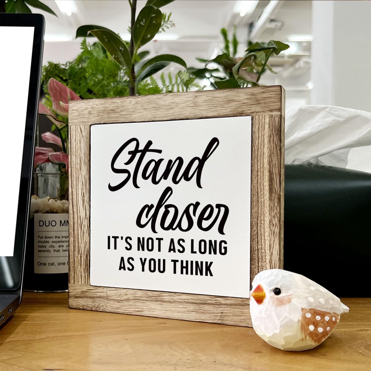 Bathroom Decor, Funny Bathroom Decor, Flush the Toilet This is Not Show and Tell, Wooden Box Signs for Home Decor, Bathroom Decor Tabletop, Kids Bathroom Rules Sign Decor, Bathroom Box Sign B6-71 BST202