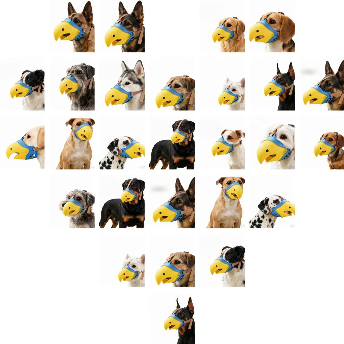 Dog Muzzle for Small Dogs, Bite Proof & Anti Licking - Soft TPR Safety Muzzle with Adjustable Hawk-Beak Design for Walking, Grooming, Vet Visits, Gentle and Breathable WN420
