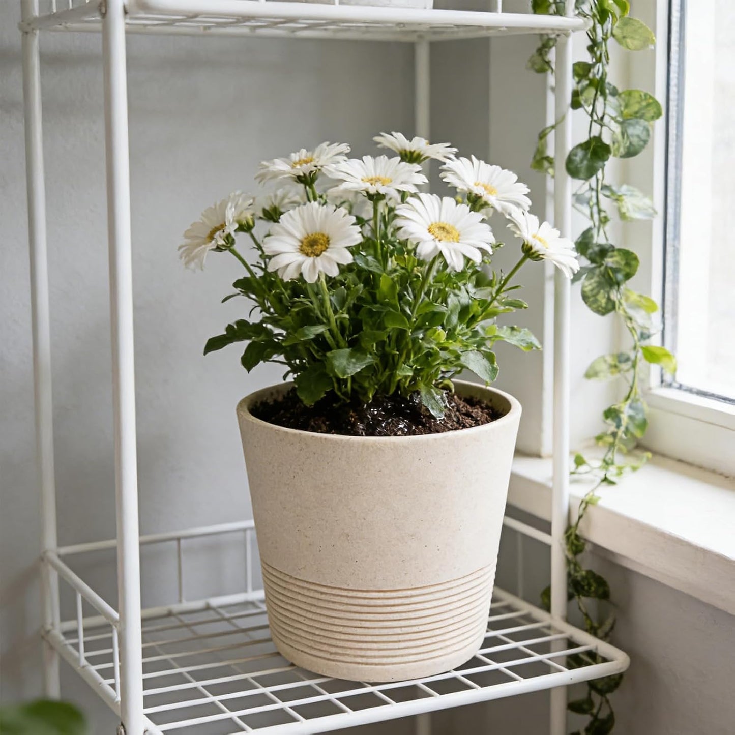 Ekirlin 7 Inch Indoor Plant Pot, Natural Resin Gravel Textures Planters, Modern Heavy Planter with Drainage Hole, Removable Rubber Stopper and Non-Slip Soft Pad, Decorative Pot for Home/Outdoor/Garden WN420