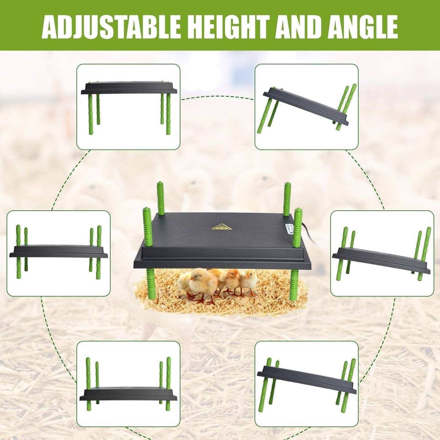 Chick Brooder Heater Plate, 12"x16" Warmer Brooder Plate for Chicks with Adjustable Height & Temperature Display RD12
