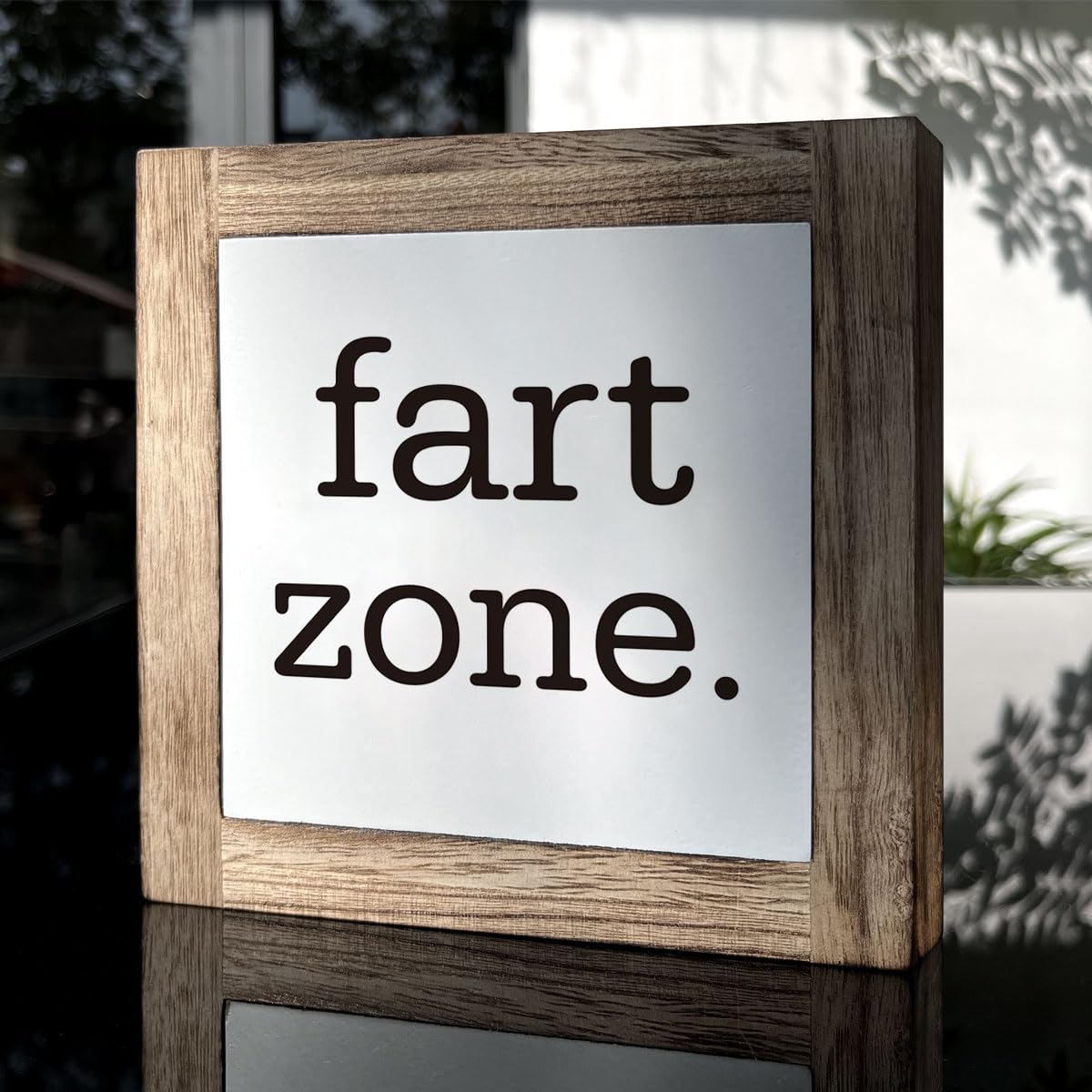 Bathroom Decor, Funny Bathroom Decor, Flush the Toilet This is Not Show and Tell, Wooden Box Signs for Home Decor, Bathroom Decor Tabletop, Kids Bathroom Rules Sign Decor, Bathroom Box Sign B6-71 BST202
