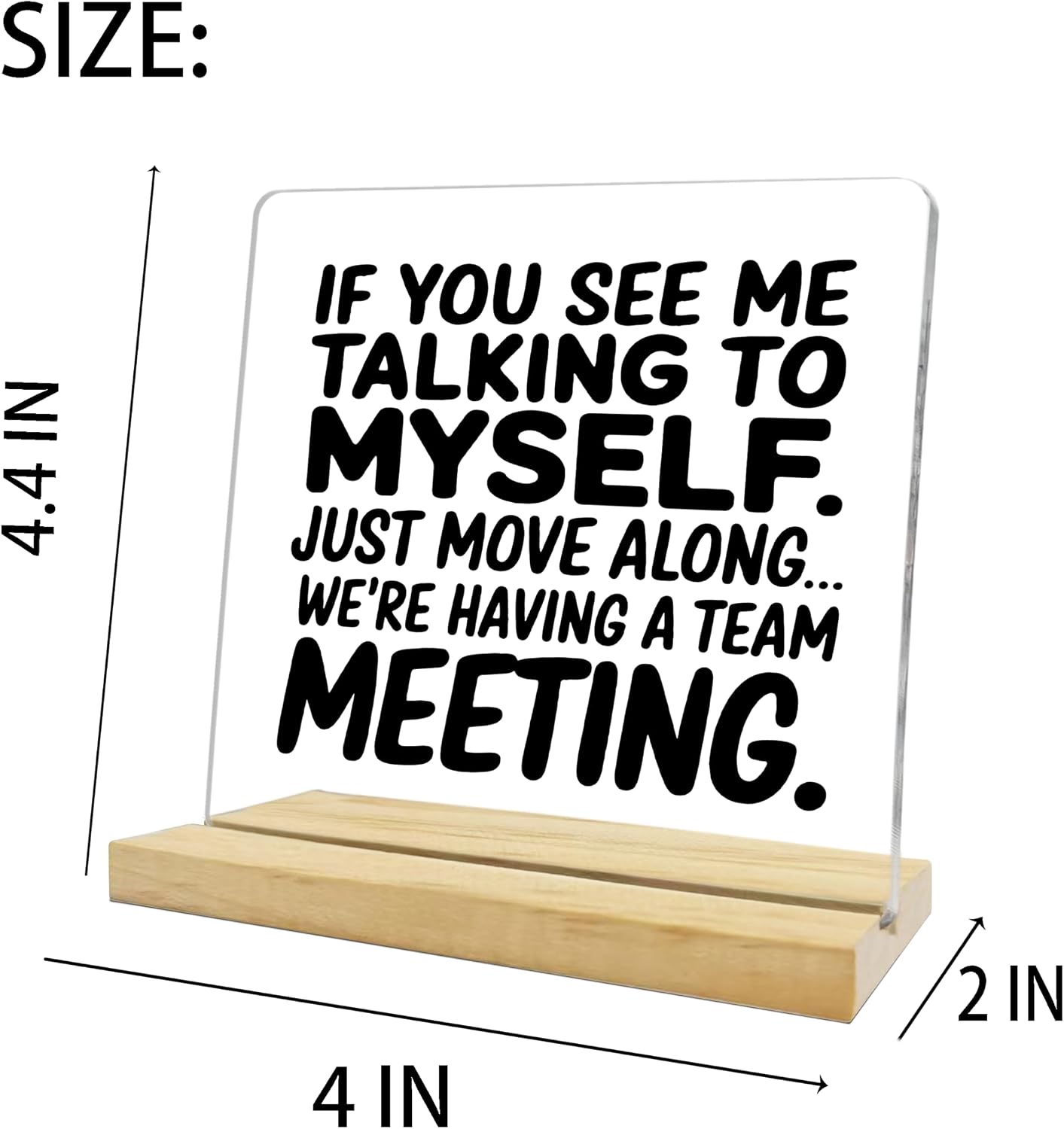 Funny Office Decor,If You See Me Talking to Myself Acrylic Plaque,Inspirational Gifts for Women Men Coworkers BST202