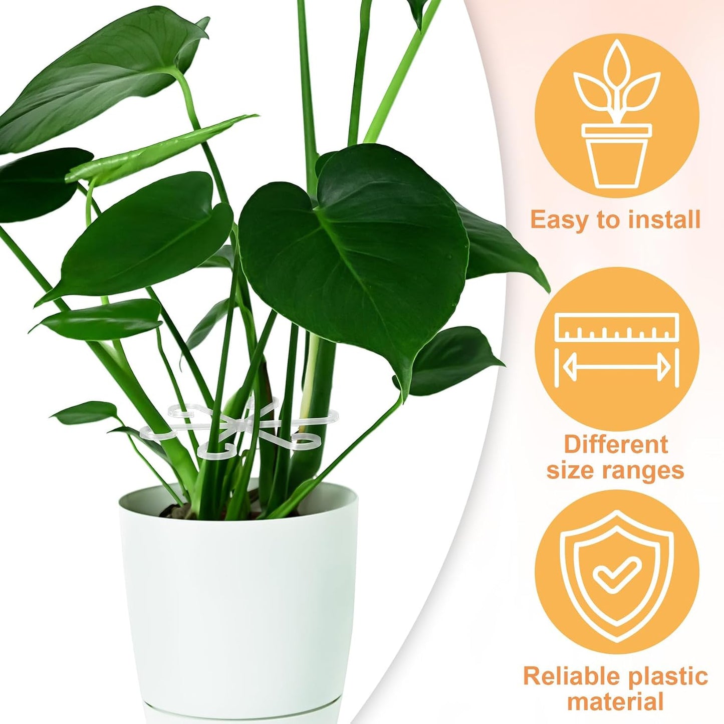 8PCS Plant Stem Support, 4 Sizes Climbing Houseplant Stem Holders, Plastic Reusable Flower Trellis Stem Hook Plant Care Growth Accessories for Flower Plants Indoor Outdoor- Green, Clear WN420