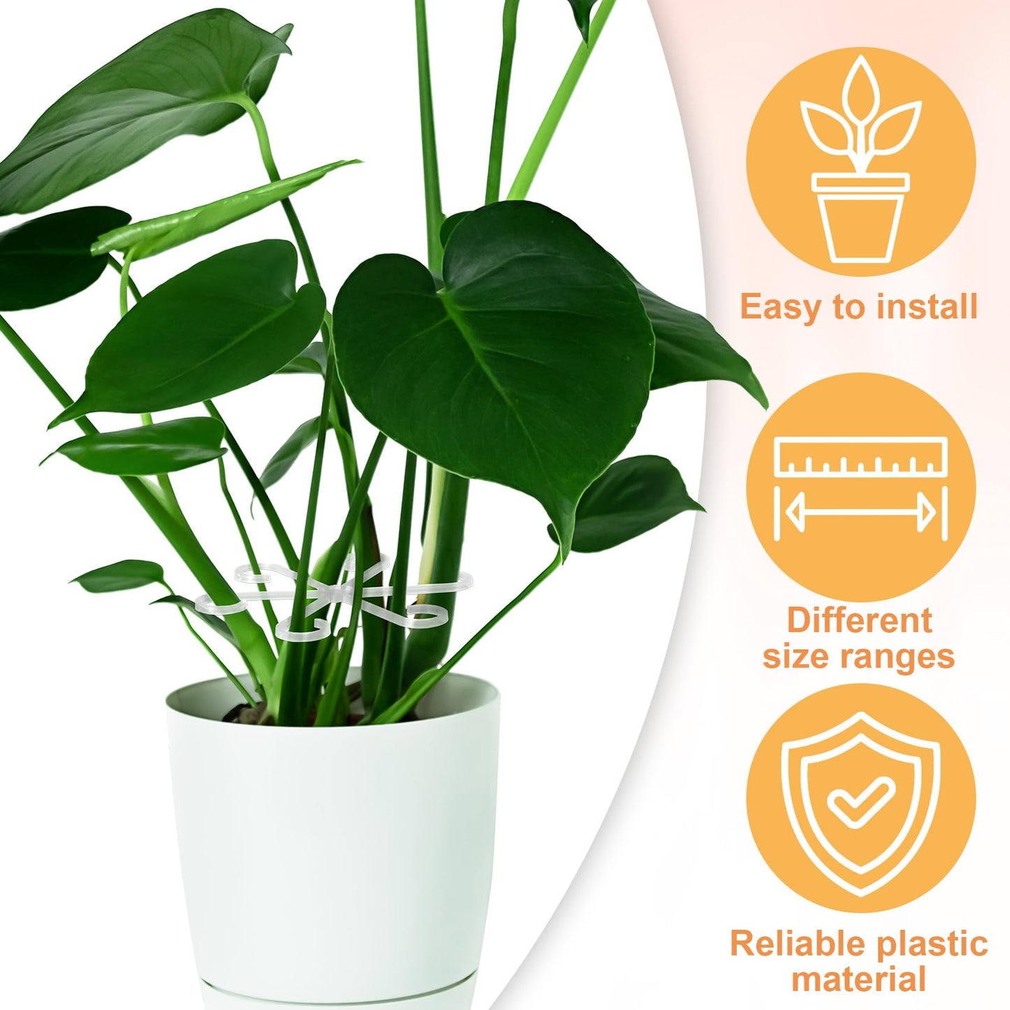 8PCS Plant Stem Support, 4 Sizes Climbing Houseplant Stem Holders, Plastic Reusable Flower Trellis Stem Hook Plant Care Growth Accessories for Flower Plants Indoor Outdoor- Green, Clear WN420