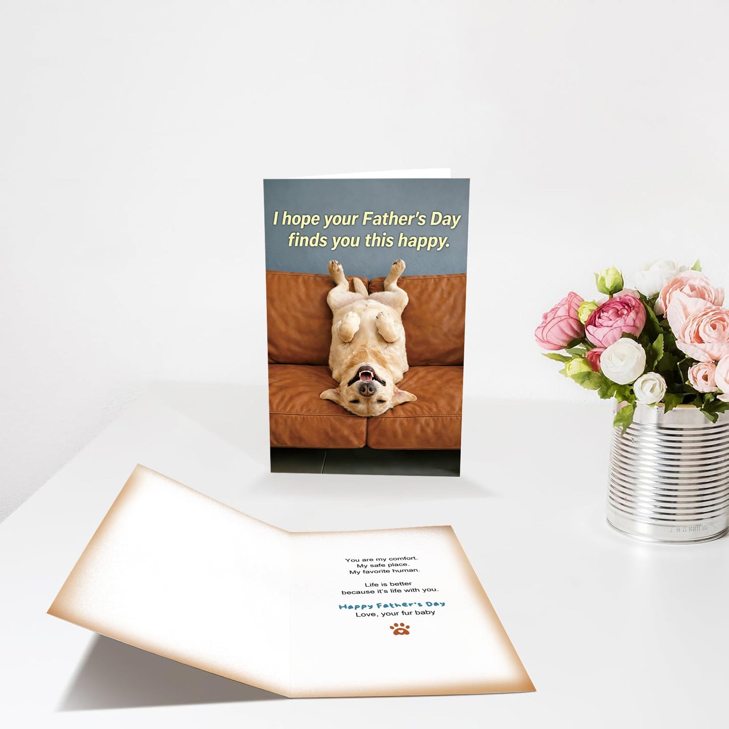 Funny Fathers Day Card for Dad Daddy Bonus Dad, Cute Cards for Fathers Day, Father's Day Cards from Son Daughter, Father's Day Cards Gift For Men Him BST202