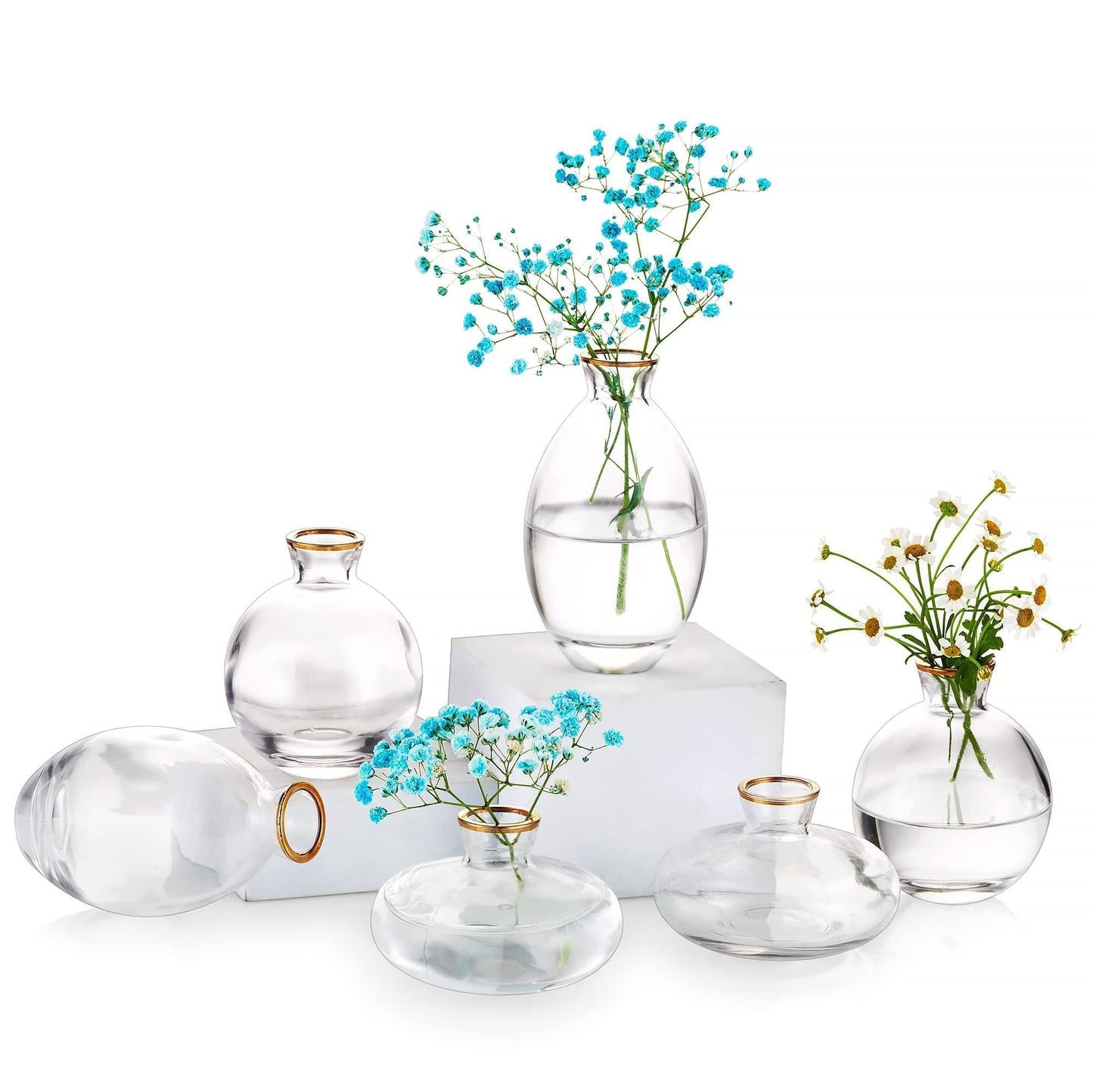 Glasseam Clear Glass Bud Vase, 3Pcs/Set Modern Decorative Small Mini Flowers Vases Short Minimalist Aesthetic Home Decor Vintage Cute Handmade Tiny Wedding Table Centerpieces for Single Flower Rose BST326H