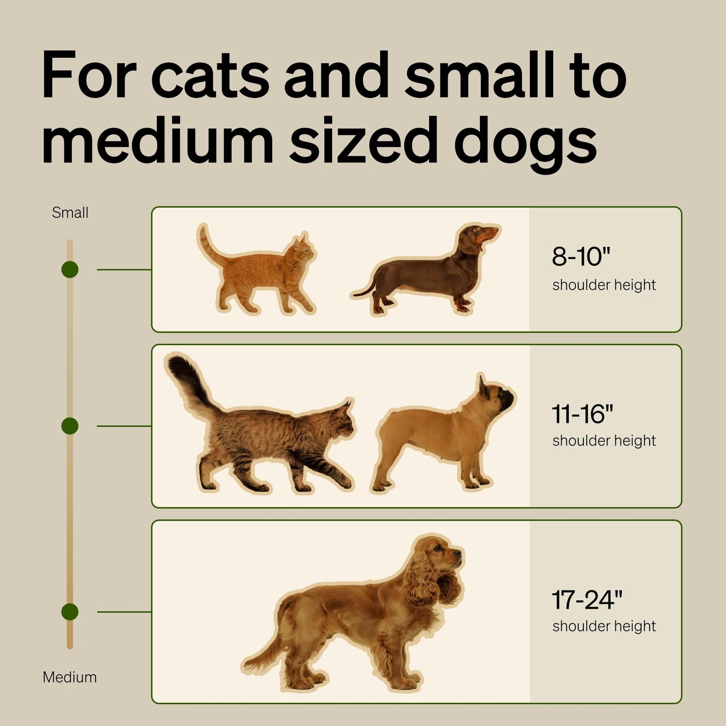 PETLIBRO Automatic Cat Feeder – 3L Programmable Pet Food Dispenser with Freshness Preservation, Timed Portion Control, Voice Meal Call & Dual Power Supply, Healthy Feeding for Cats & Small Dogs White