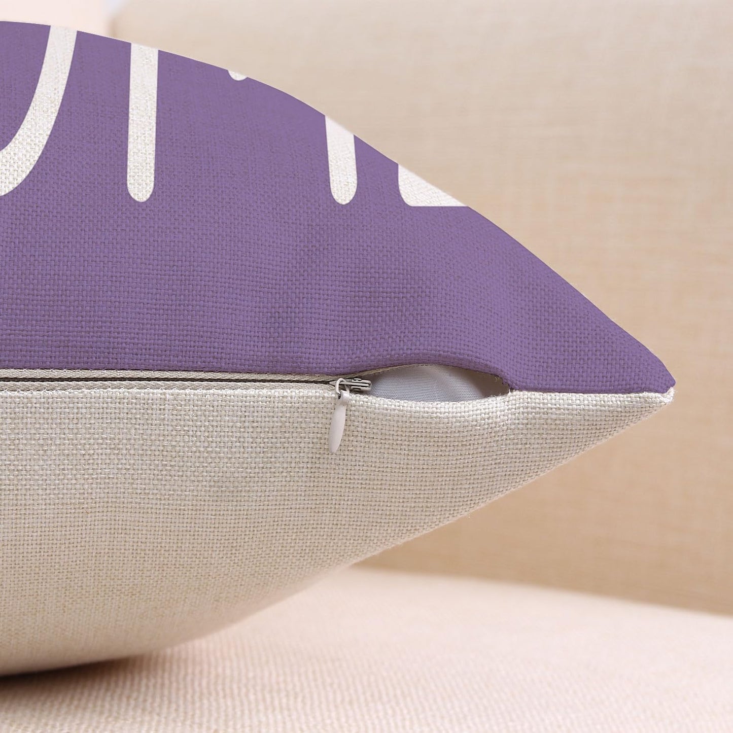 Spring Easter Pillow Covers 18x18 Set of 2 Rabbit Bunny Carrot Truck Spring Flowers Decorative Throw Pillow Covers for Home Office Sofa Bed Couch BST326L
