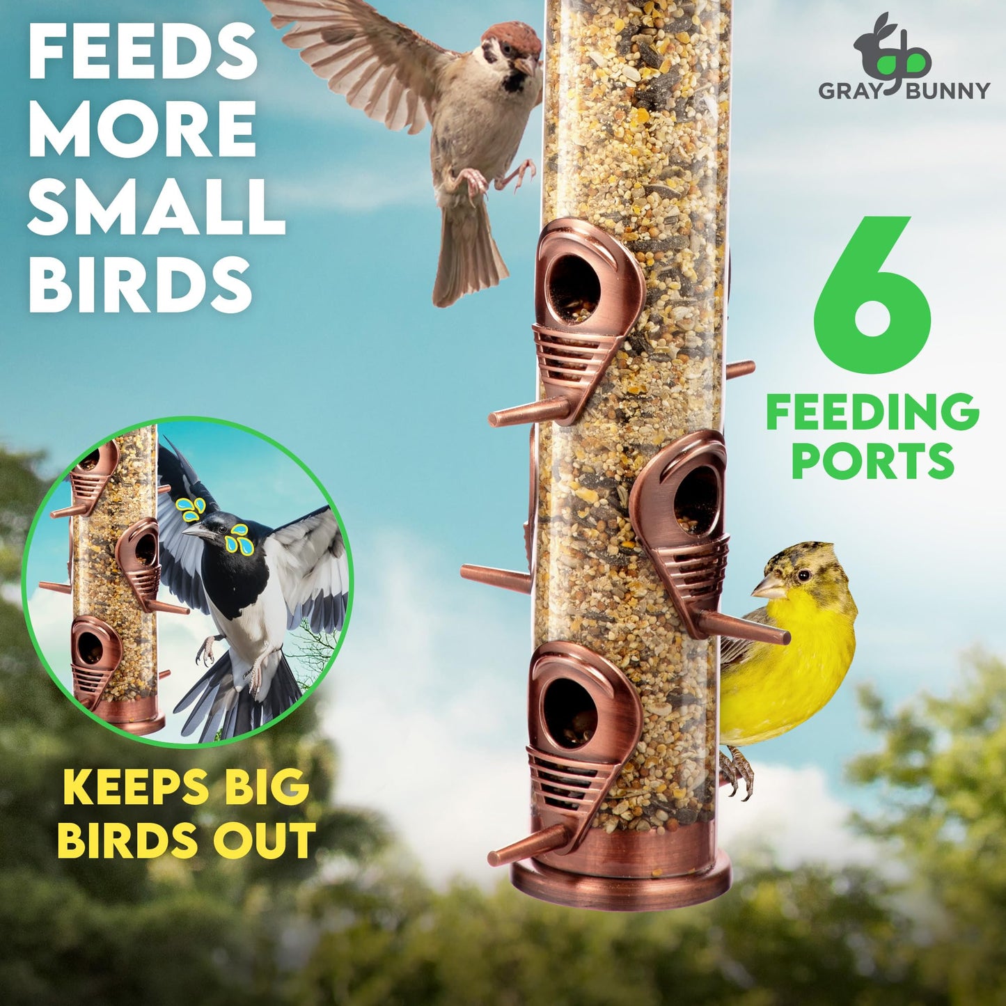 Bird Feeders for Outdoors (Green) Squirrel Proof Hanging Bird Feeder with Locking Lid & Adjustable Hanger RD12